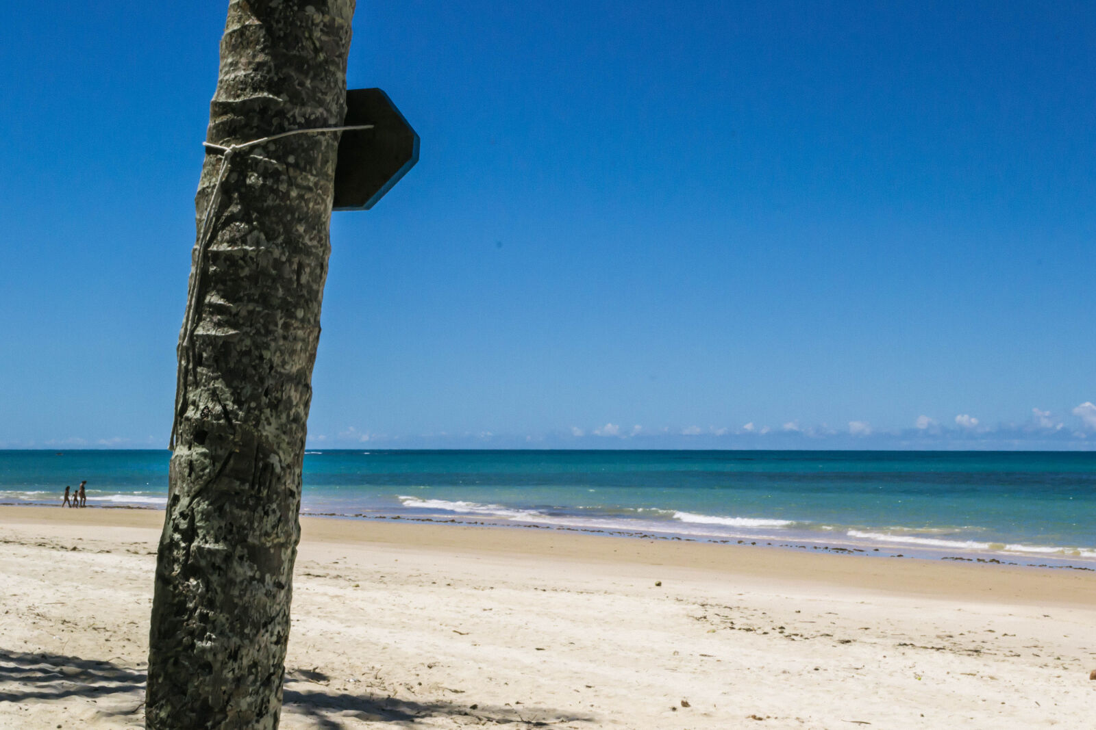 Nikon D3100 sample photo. Bahia, beach, blue, sky photography