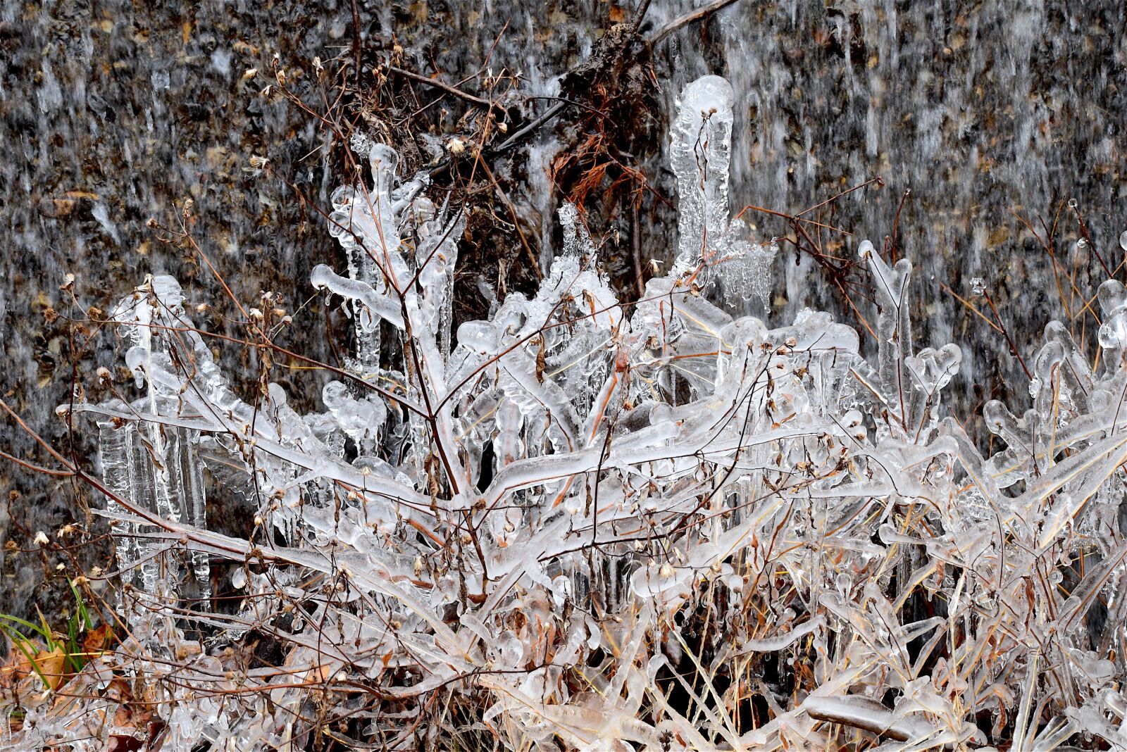 Nikon D3300 sample photo. Ice, crystals, freezing photography