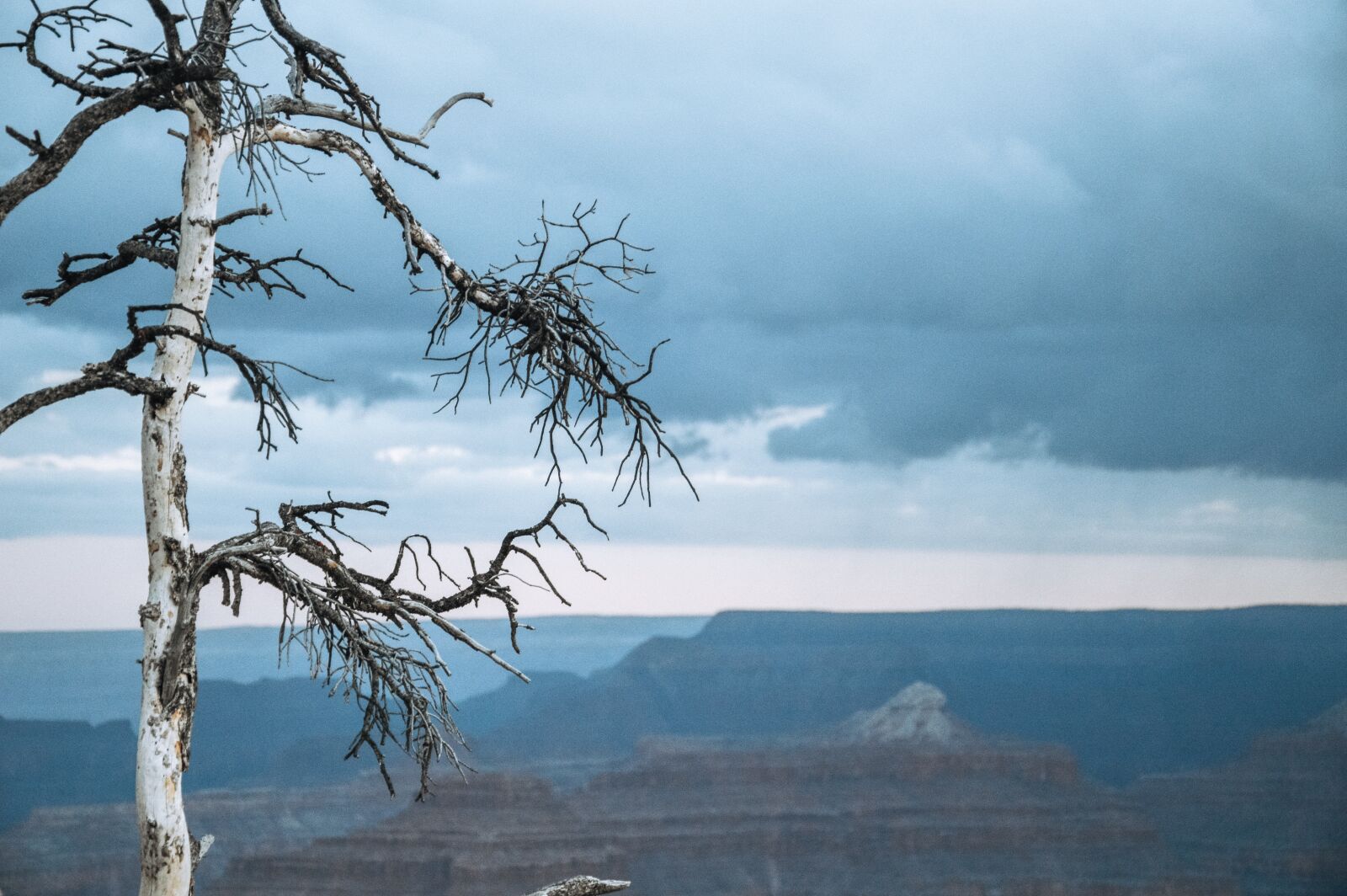 Nikon D3200 sample photo. Nature, grand canyon, arizona photography