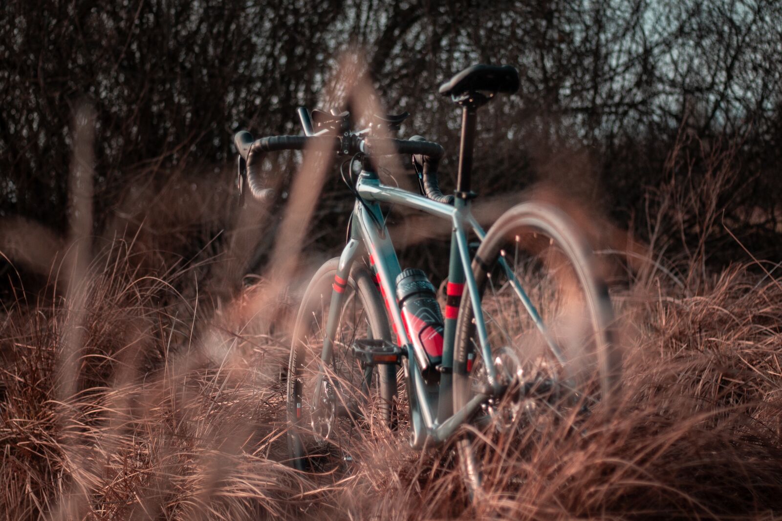 Canon EOS 700D (EOS Rebel T5i / EOS Kiss X7i) sample photo. Bike, excursions, tour photography