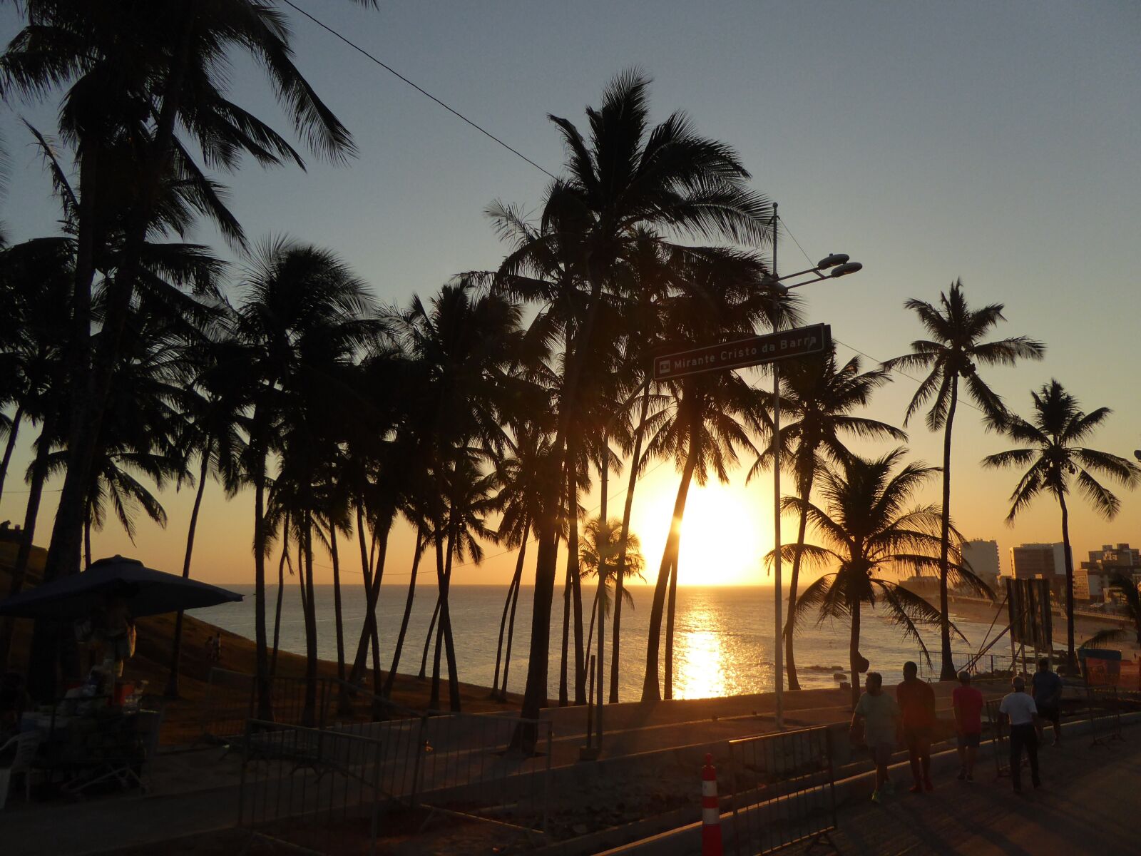 Panasonic DMC-TZ61 sample photo. Sunset, palm trees, bahia photography