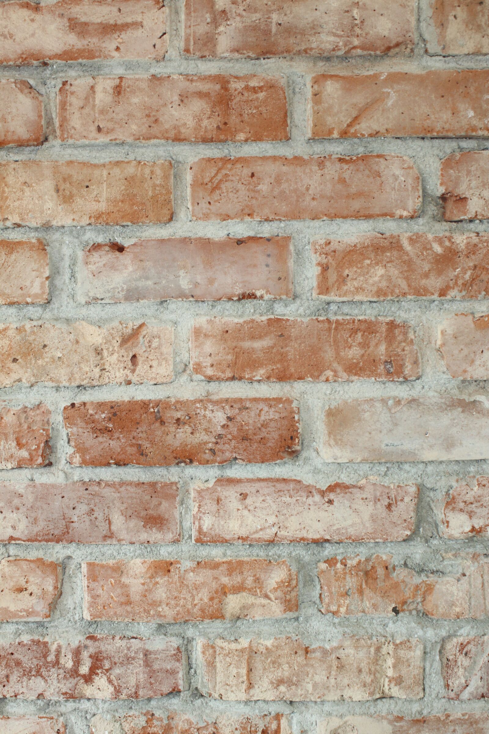 Canon EOS 500D (EOS Rebel T1i / EOS Kiss X3) sample photo. Wall, masonry, structure photography