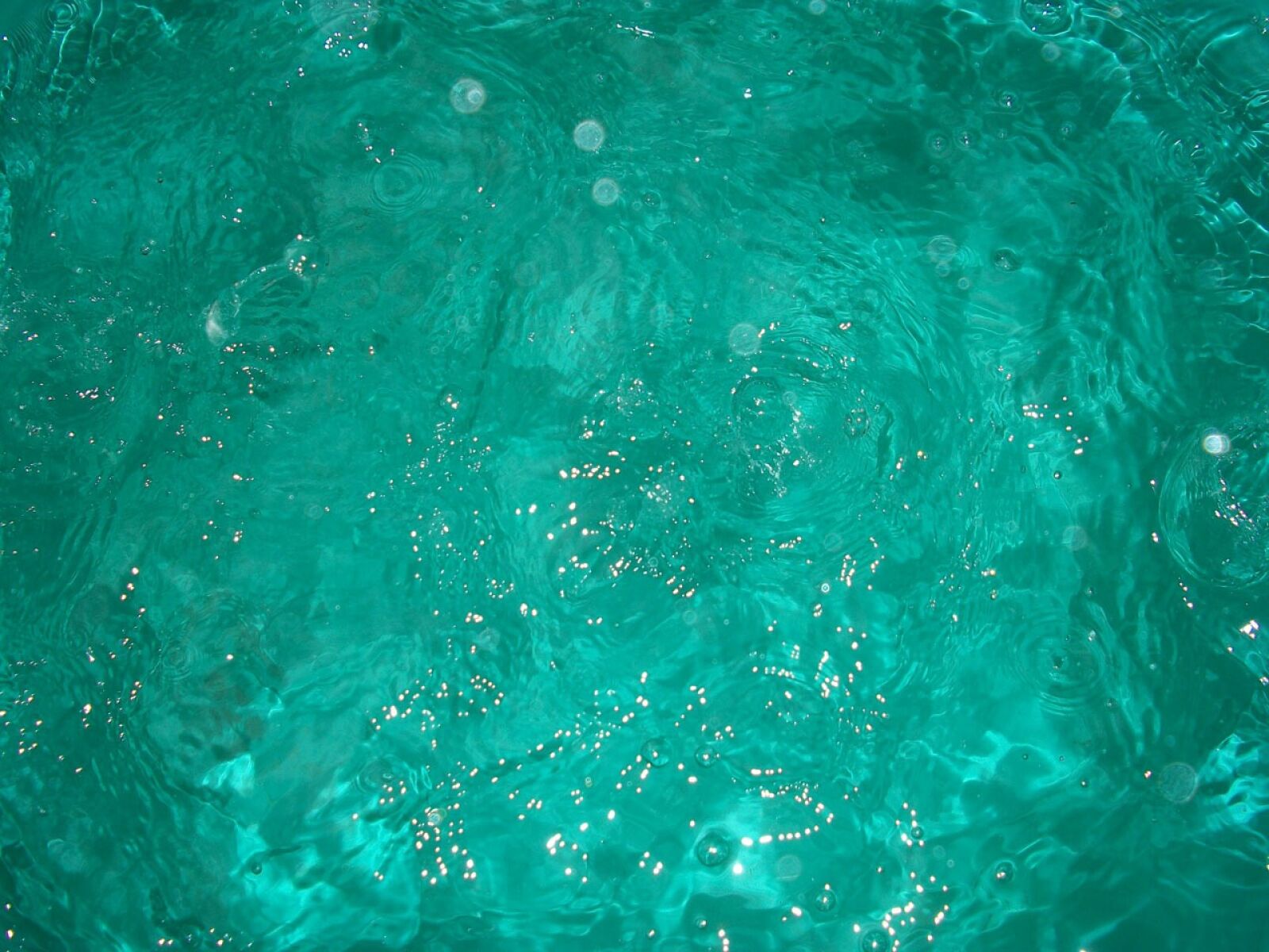 Kodak EASYSHARE M340 DIGITAL CAMERA sample photo. Water, rain, green photography
