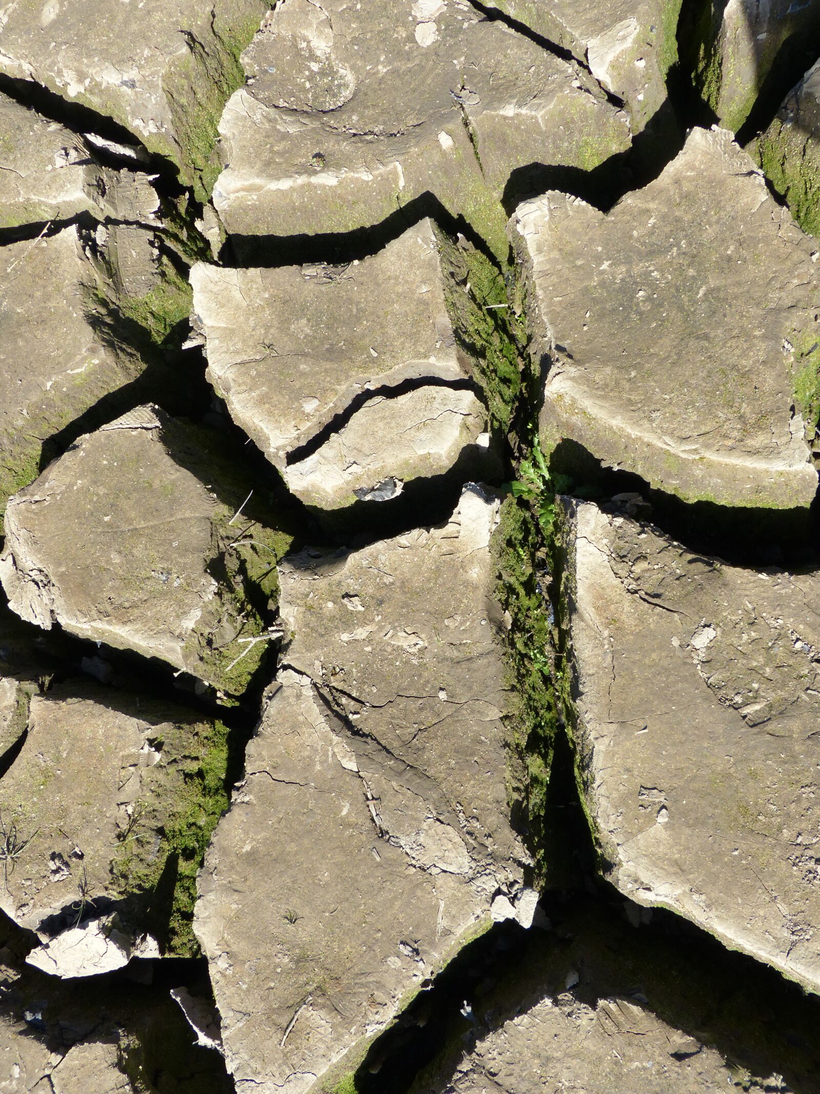 Panasonic Lumix DMC-FZ200 sample photo. Guerledan, cracked earth, mud photography