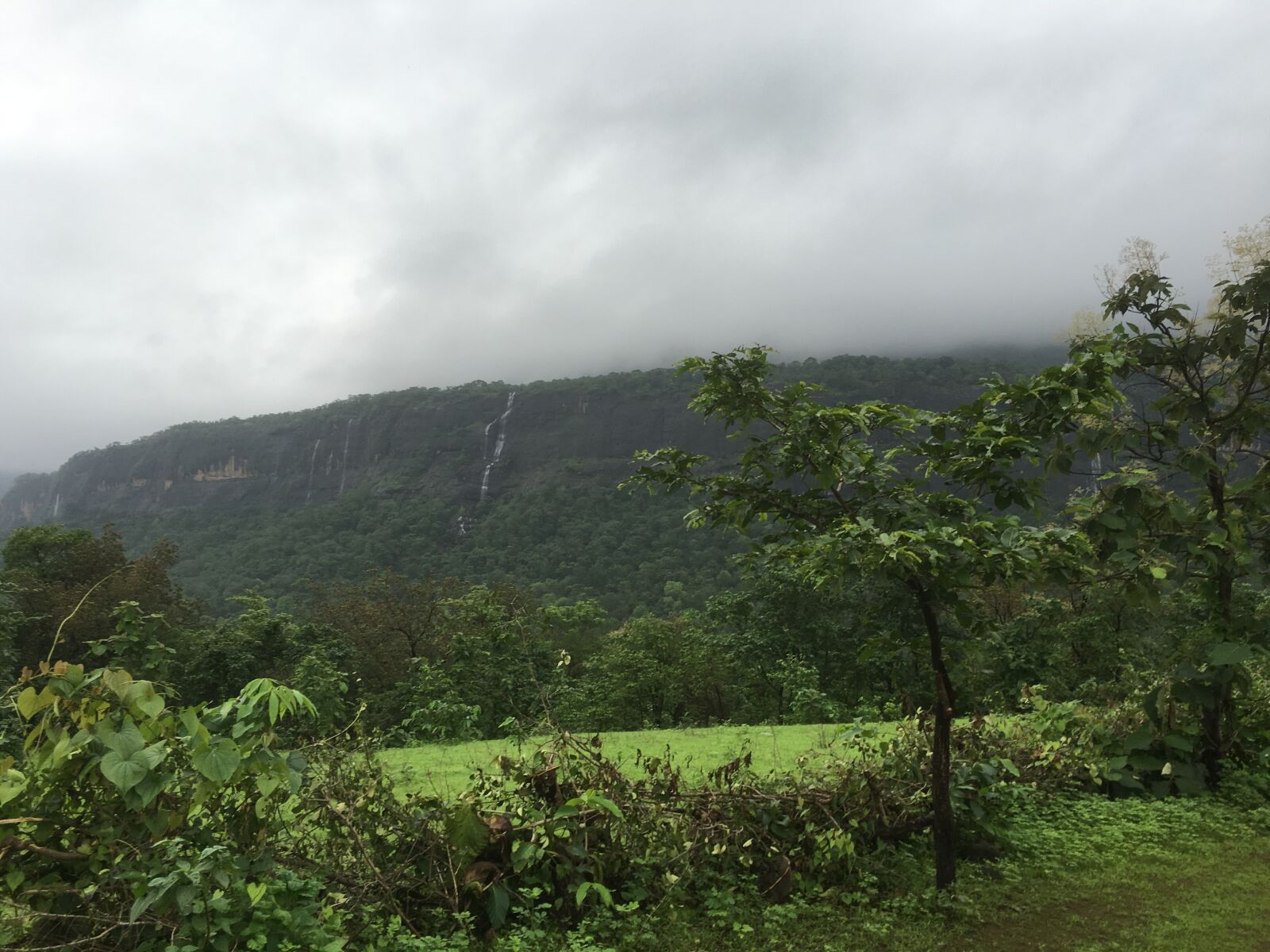 Apple iPhone 6s sample photo. Nature, sahayadri, monsoon photography