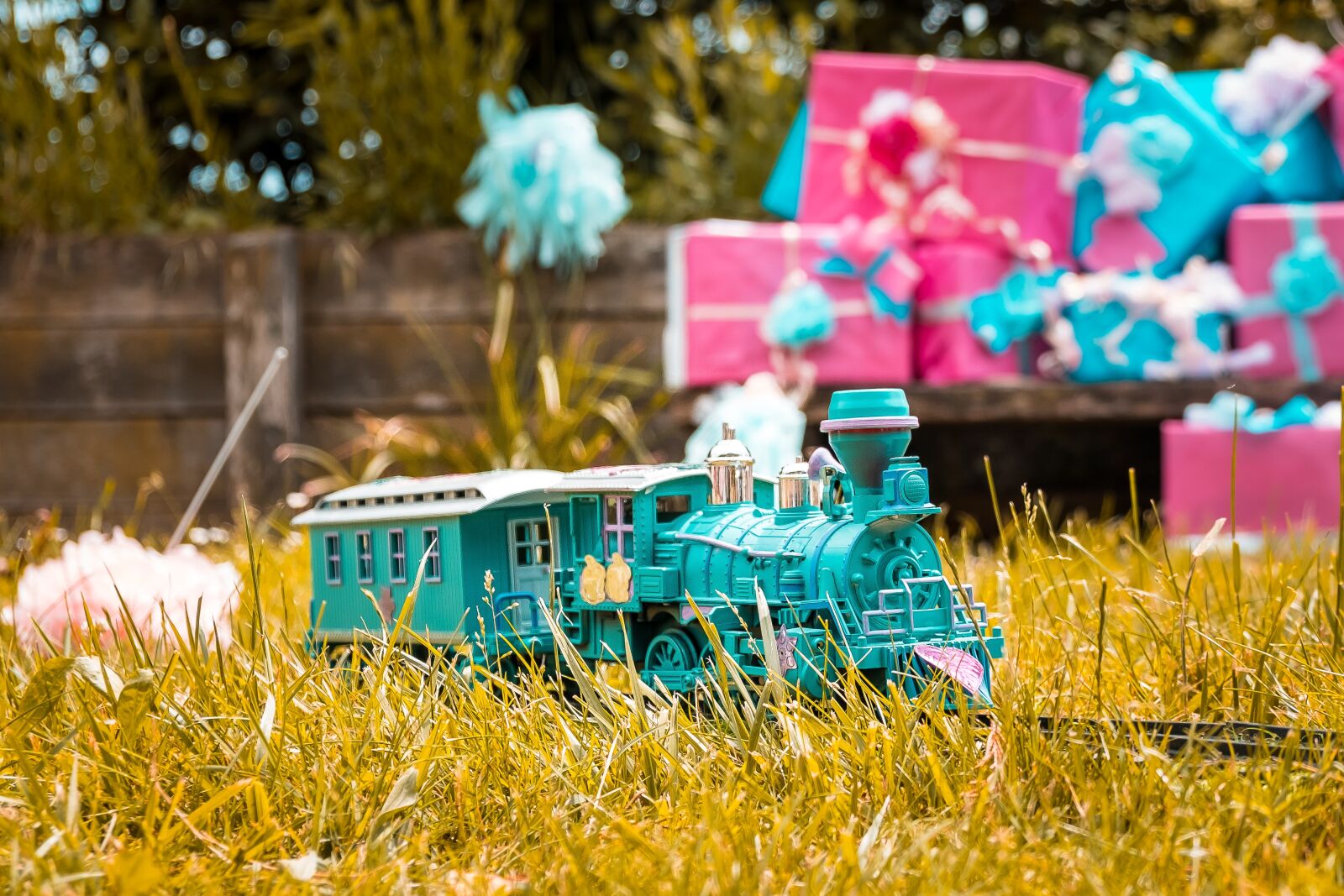 Fujifilm X-T2 sample photo. Train, gras, garden photography