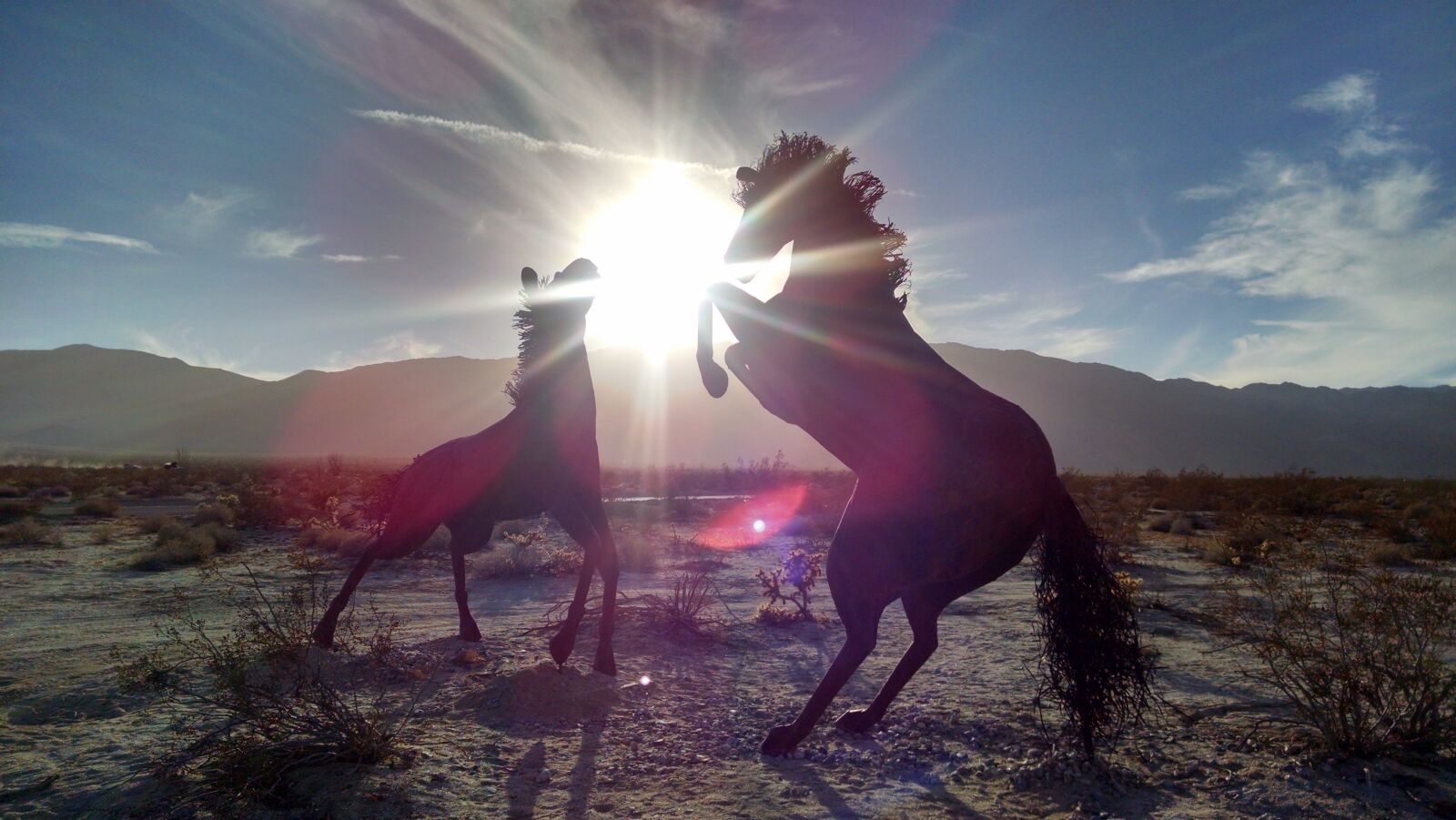 Motorola XT1080 sample photo. Silhouettes, of, 2, horse photography