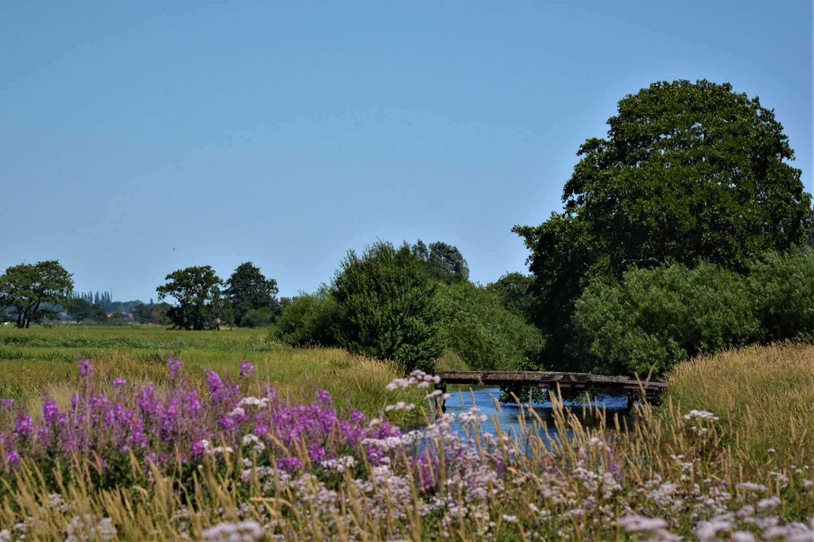 Nikon D5200 sample photo. Landscape, beautiful, nature photography