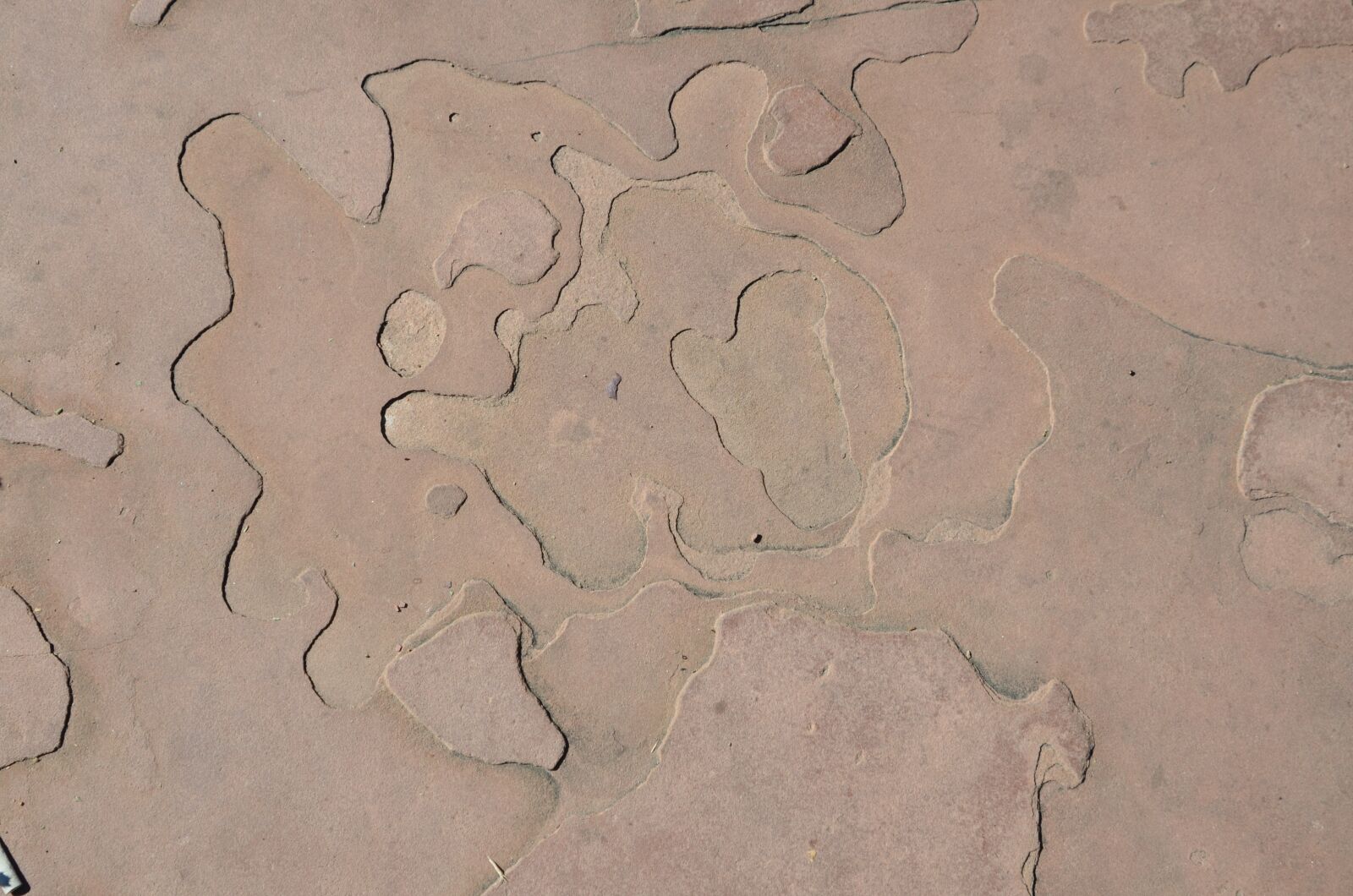 Nikon D7000 sample photo. Rock, curvy lines, nature photography