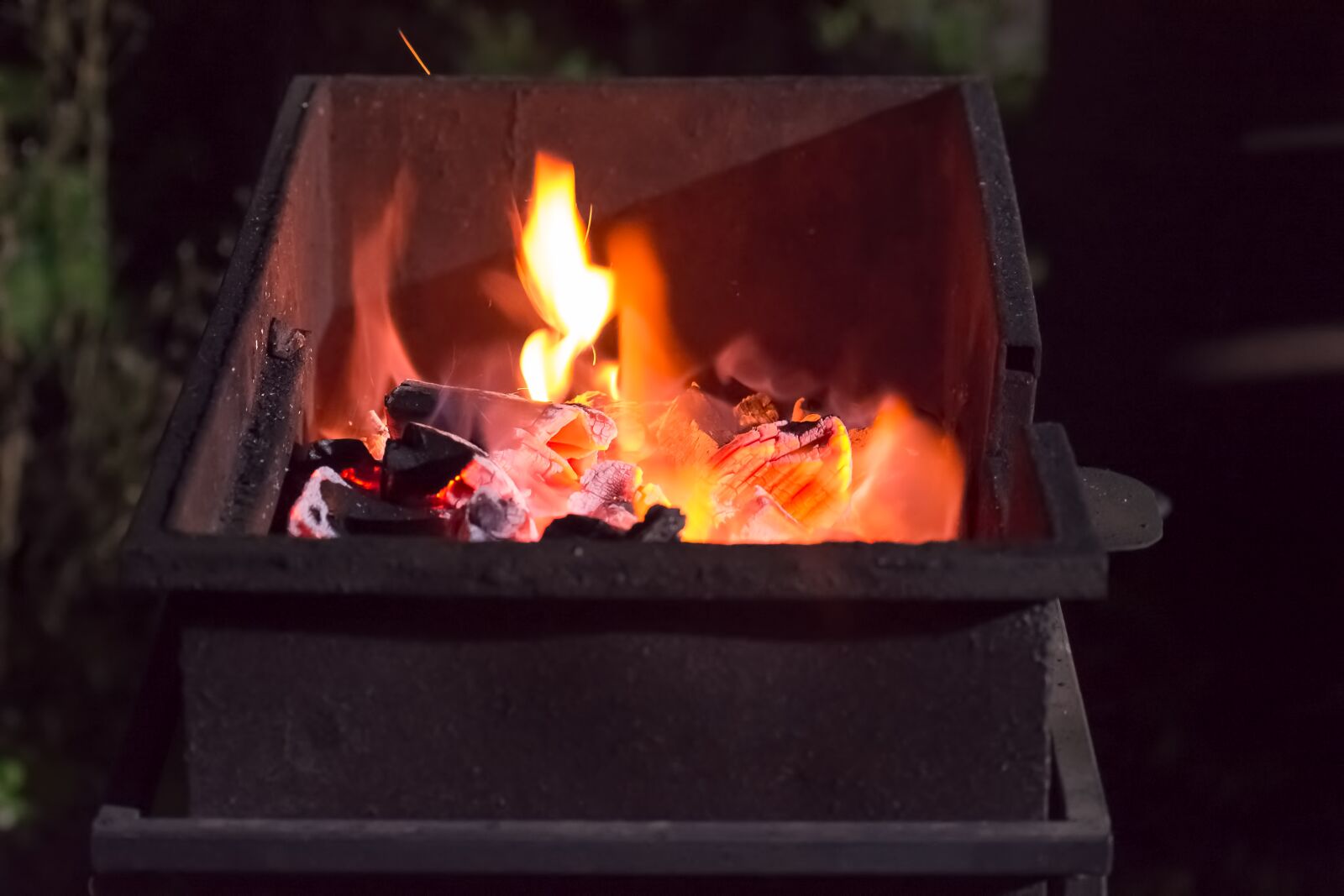 Nikon D7200 sample photo. Fire, shish kebab, mangal photography