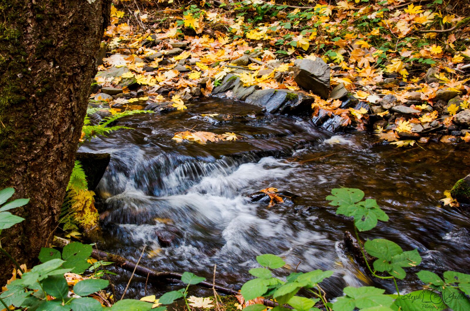 Nikon D7200 sample photo. Creek, stream, water photography