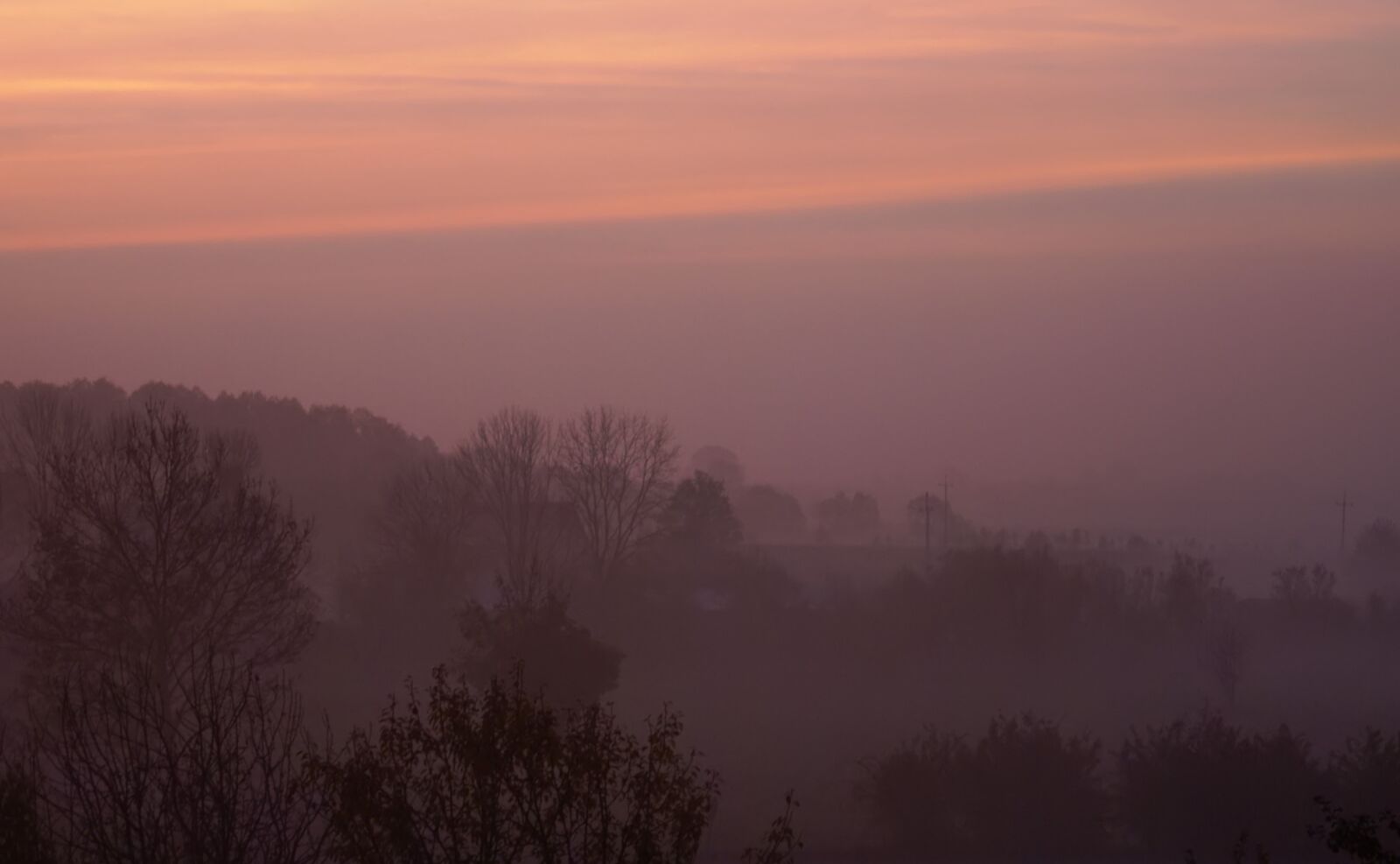 Sony Alpha DSLR-A100 sample photo. The fog, dawn, sunrise photography