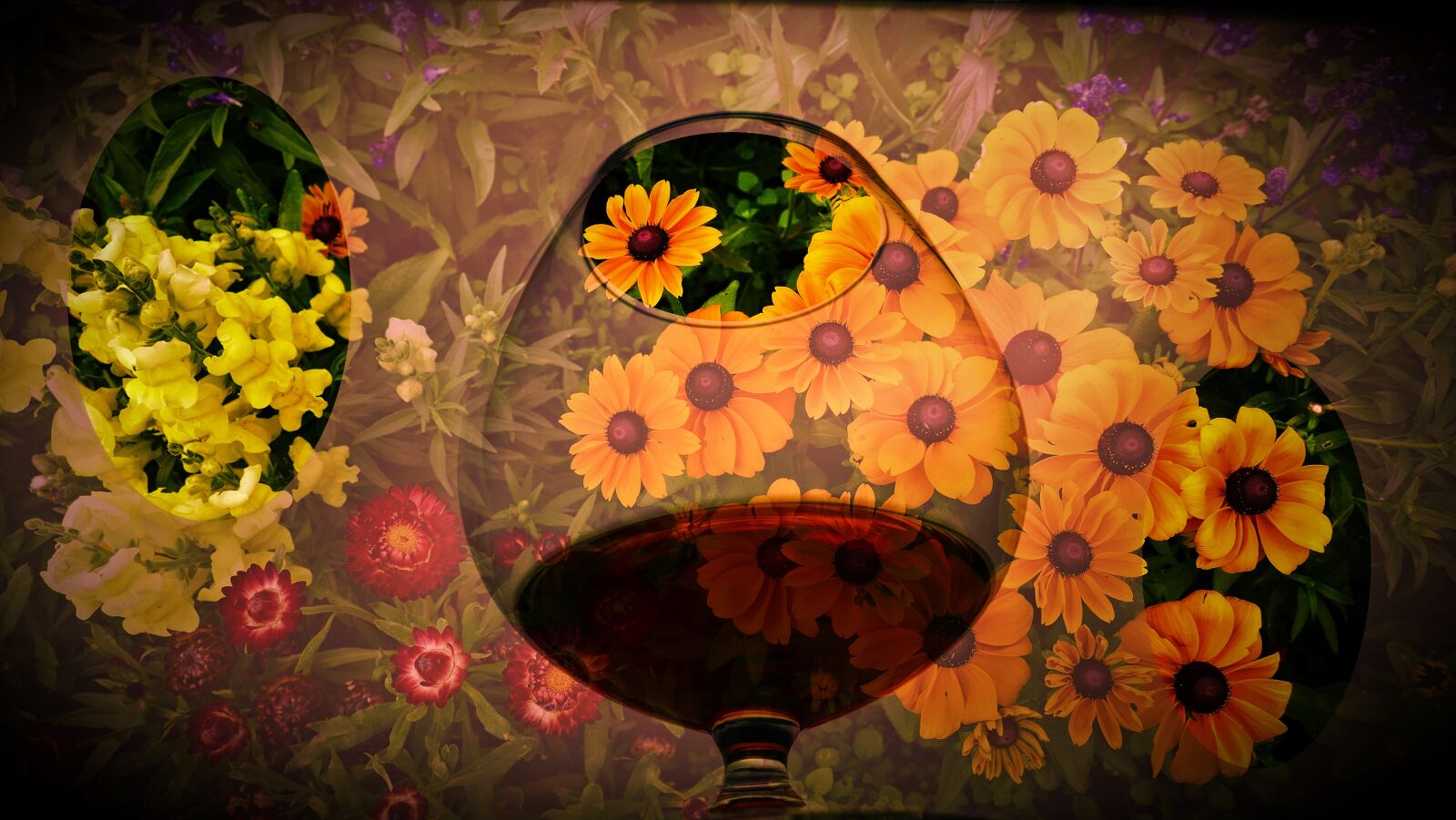 Panasonic Lumix DMC-FZ1000 sample photo. Cognac, levels, flowers photography