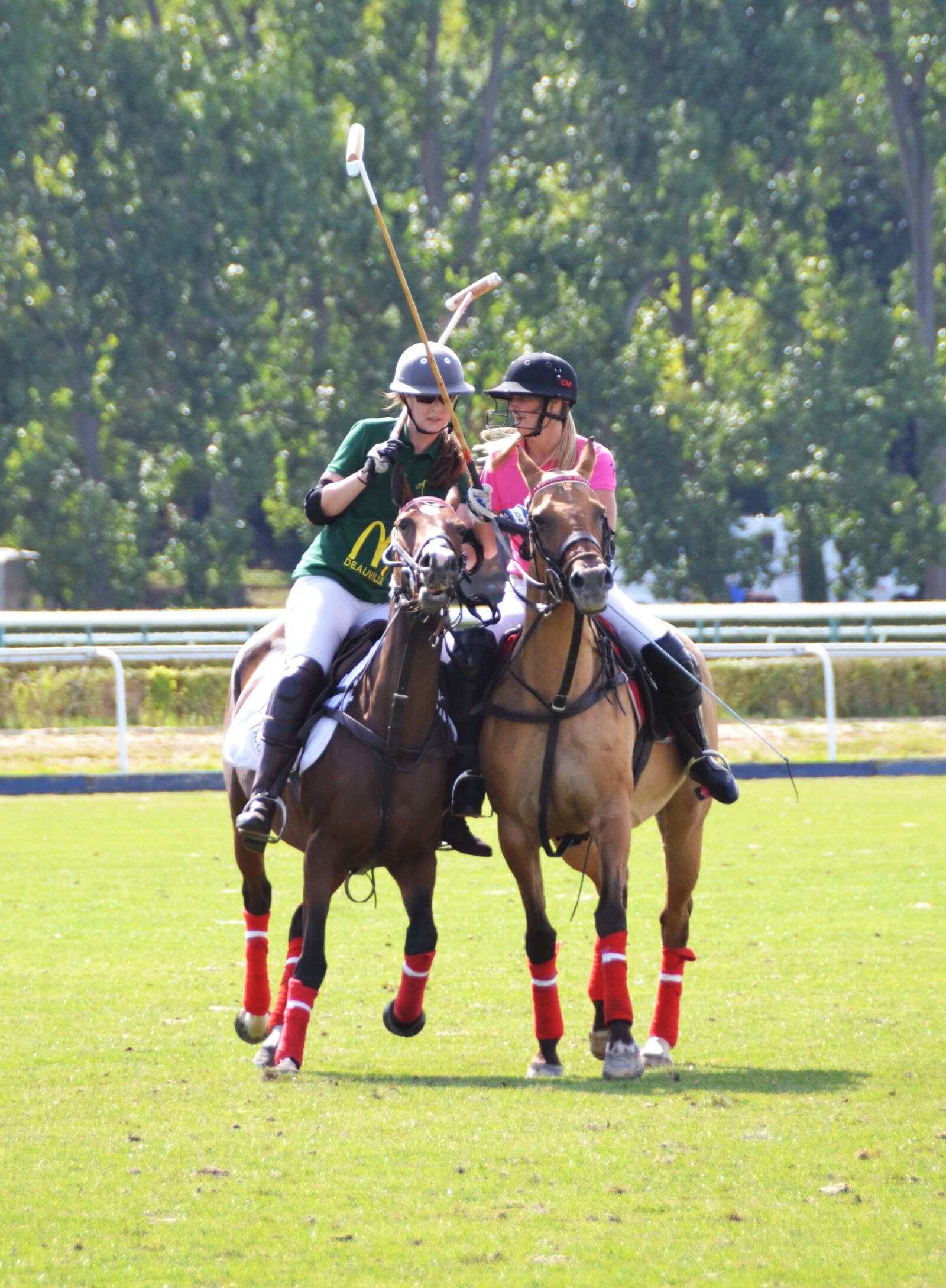Nikon D3100 sample photo. Sport, horse, horseback riding photography