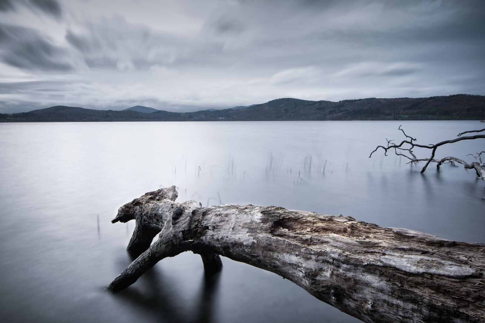 Nikon D5300 sample photo. Lake, tree, water photography