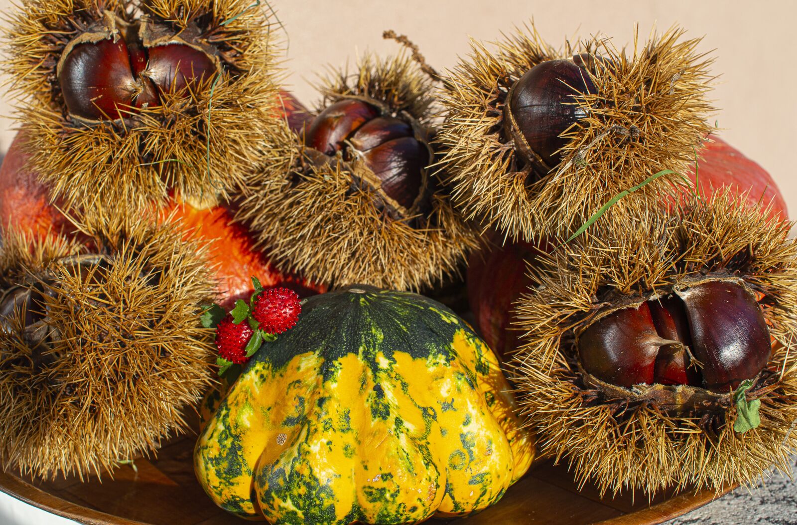 Nikon D3200 sample photo. Autumn, chestnuts, brown photography
