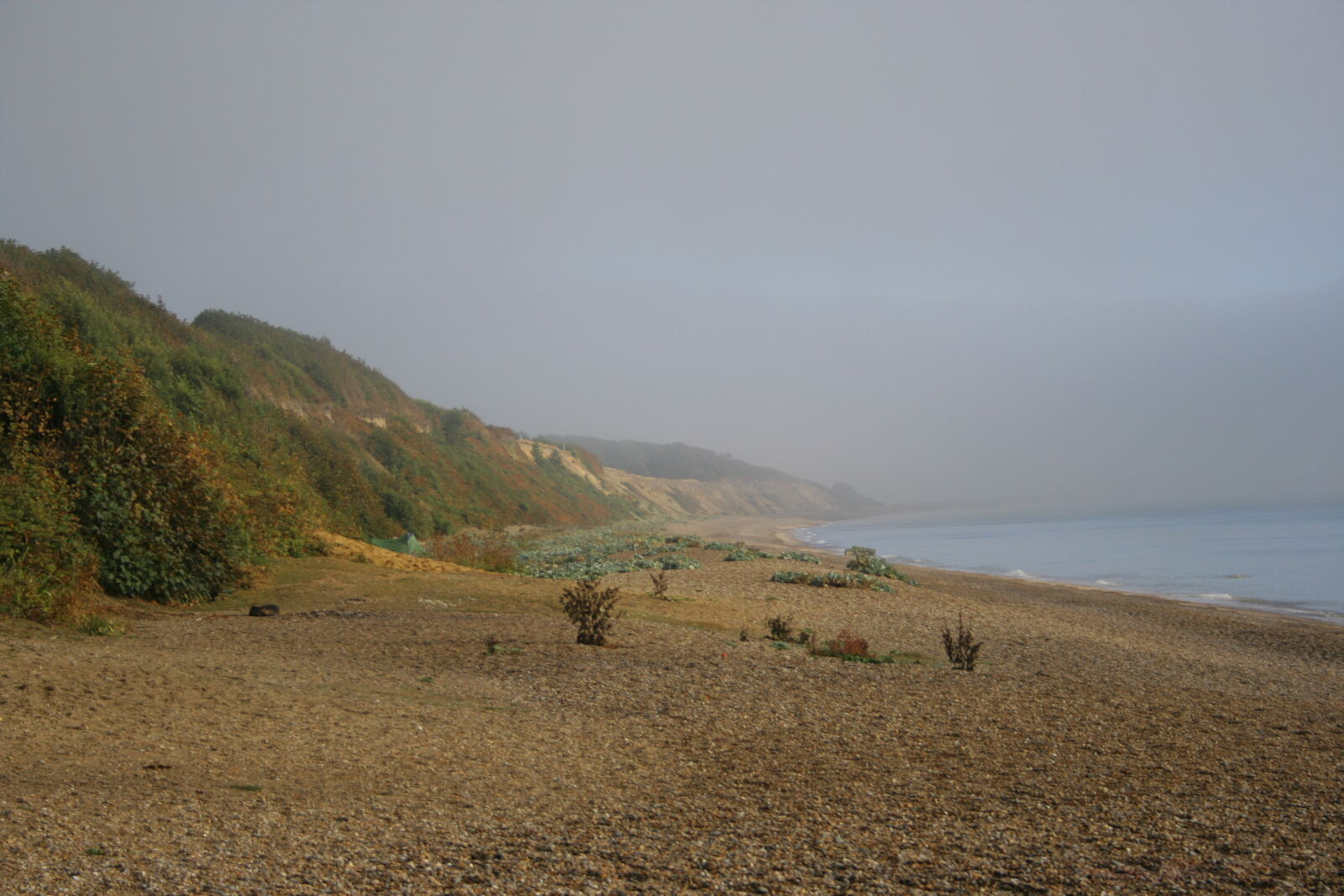 Canon EOS 350D (EOS Digital Rebel XT / EOS Kiss Digital N) sample photo. Beach, misty, nature, outdoors photography