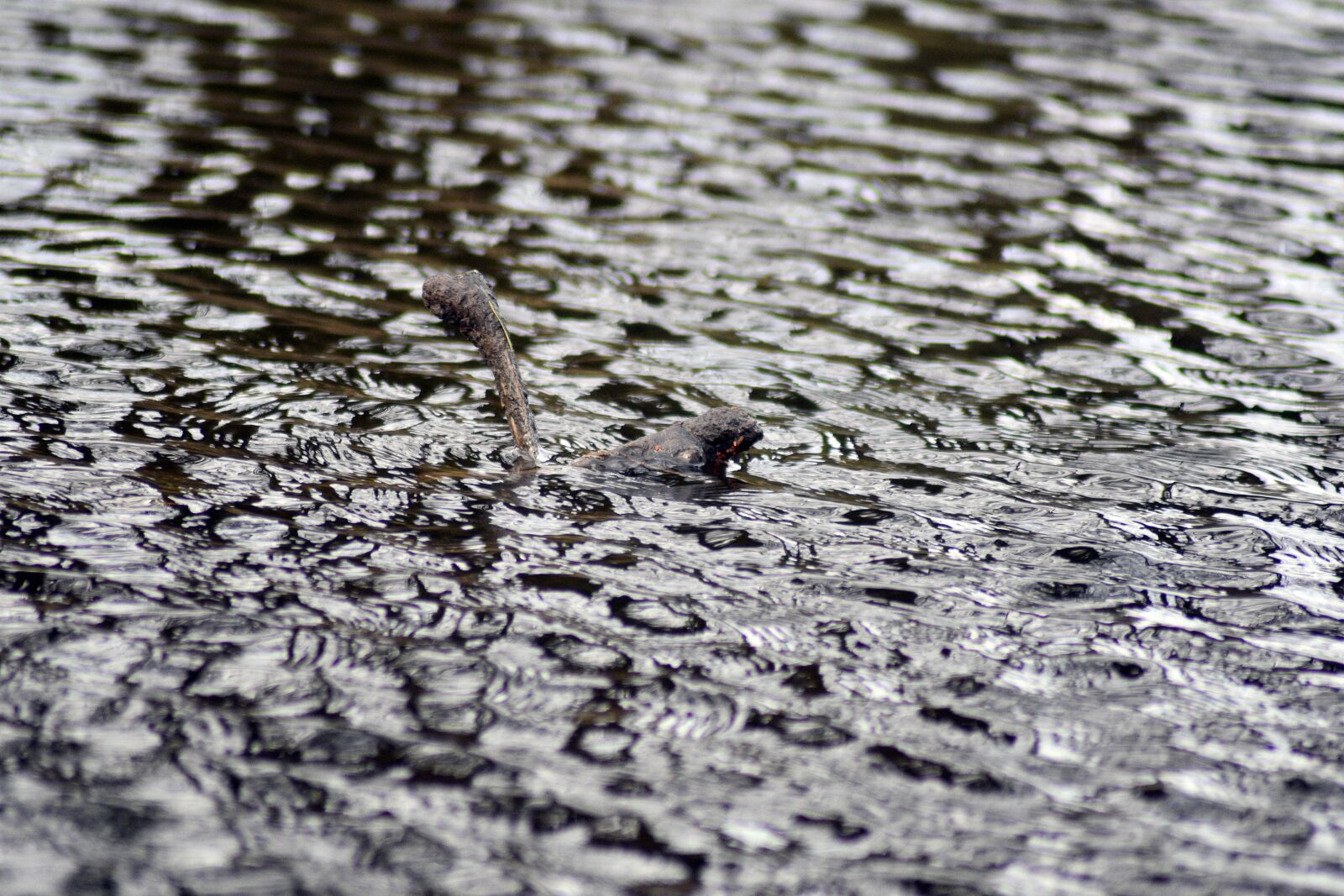 Nikon D3400 sample photo. Wave, water, nature photography