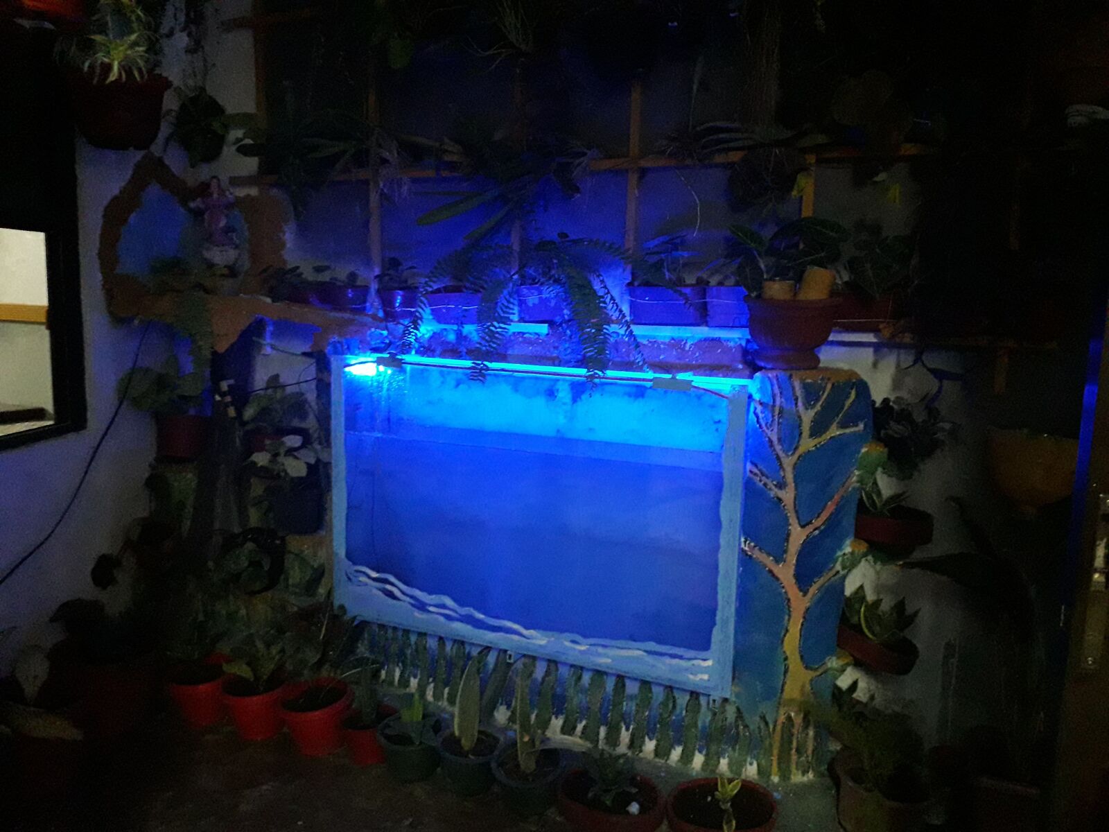 Samsung Galaxy J6 sample photo. Aquarium, blue, light photography