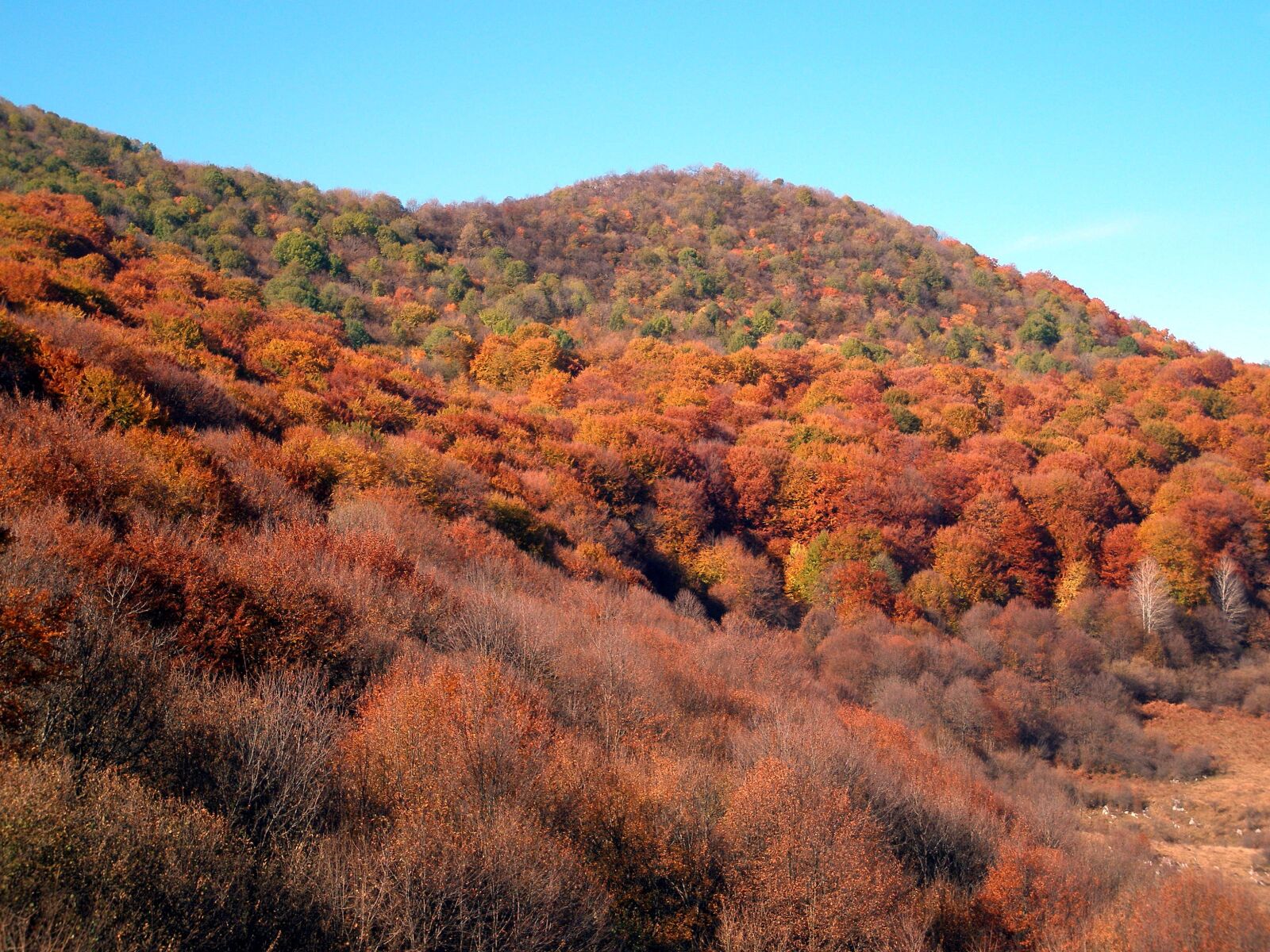 Olympus u810/S810 sample photo. Mountain, autumn, landscape photography