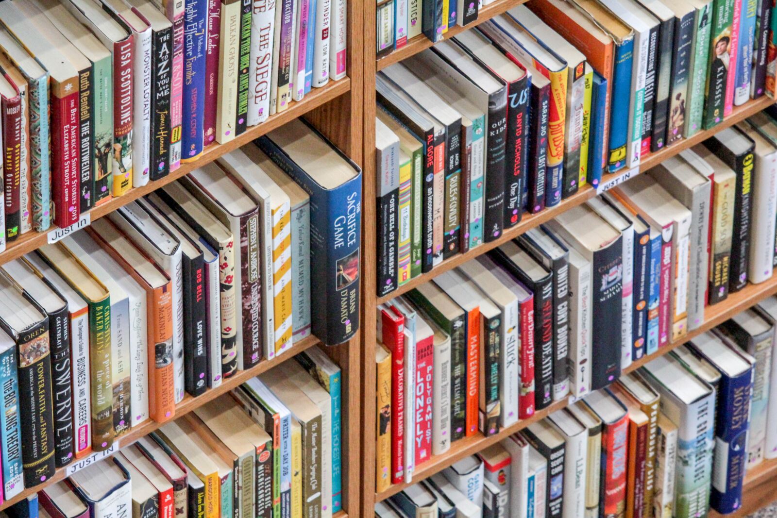 Canon EOS 700D (EOS Rebel T5i / EOS Kiss X7i) sample photo. Bookcase, shelf, library photography
