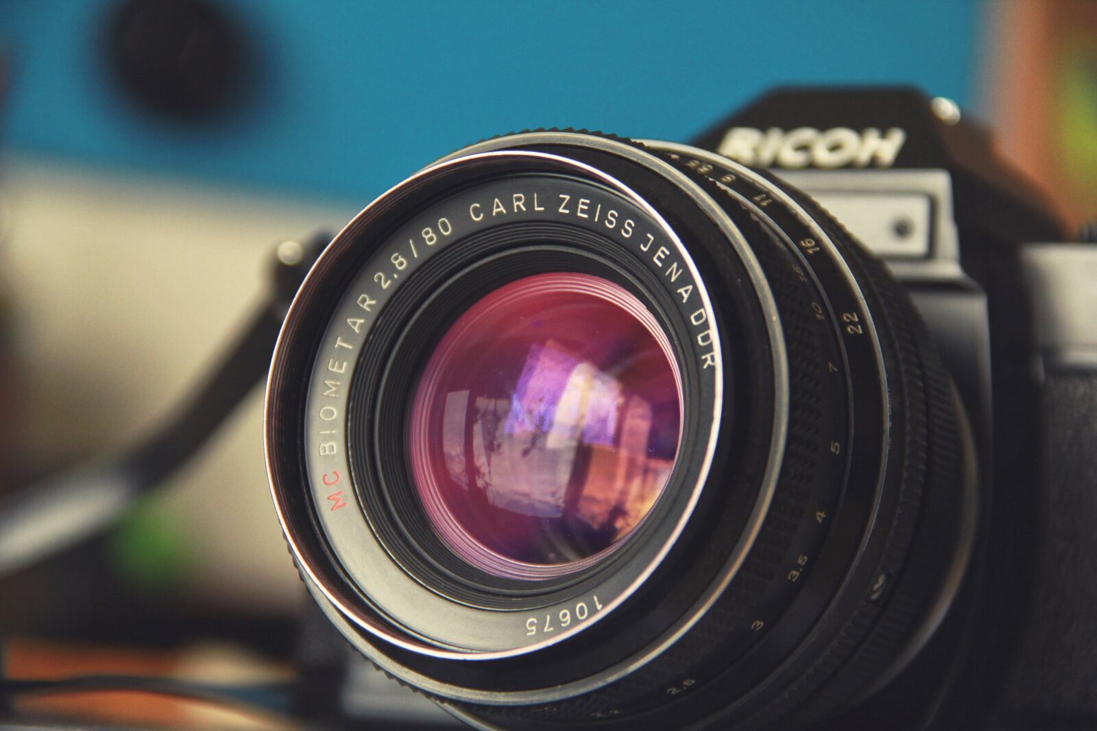 Canon EOS 550D (EOS Rebel T2i / EOS Kiss X4) sample photo. Photo, photography, camera photography