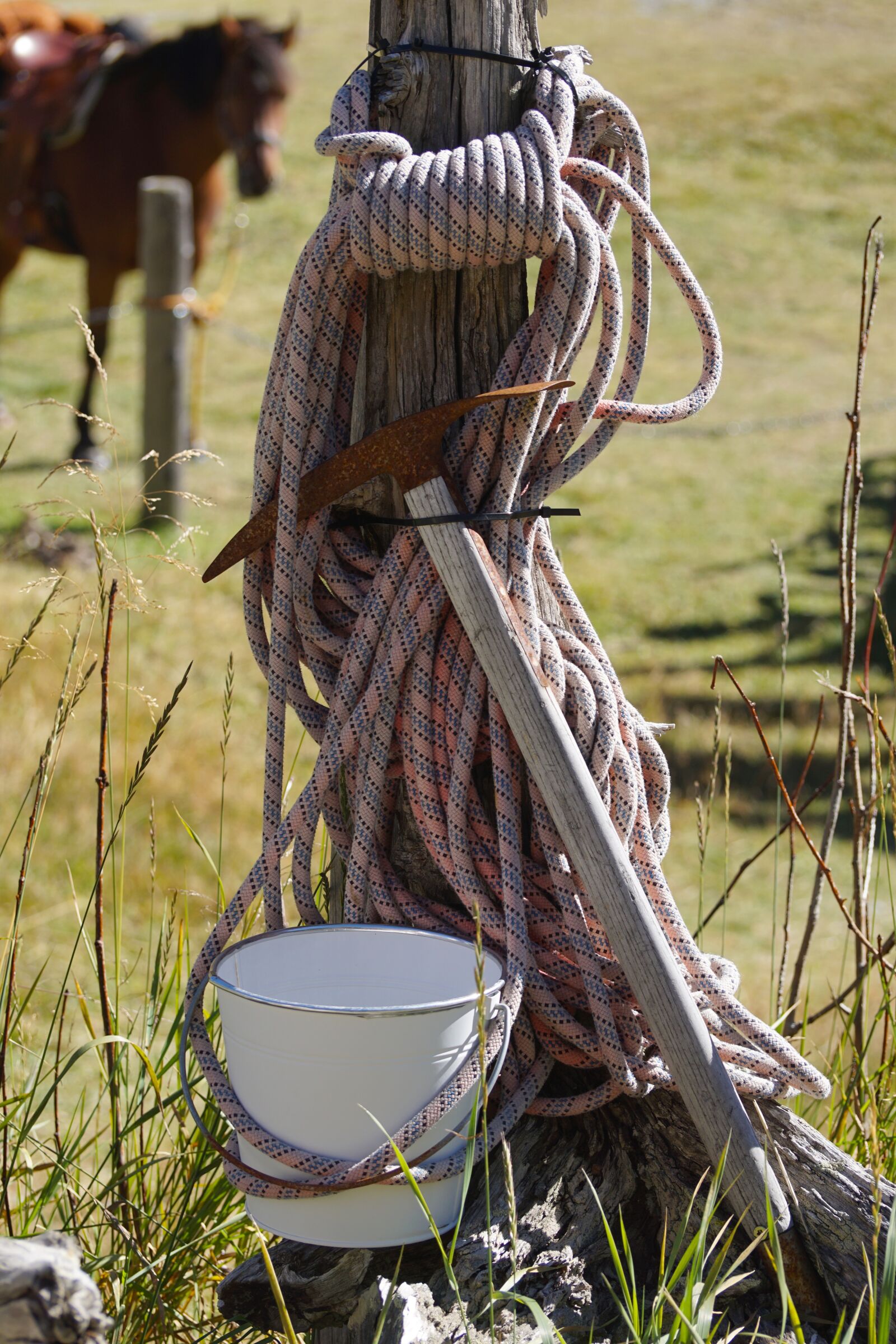 Sony DT 55-300mm F4.5-5.6 SAM sample photo. Migratory utensils, rope, pimples photography