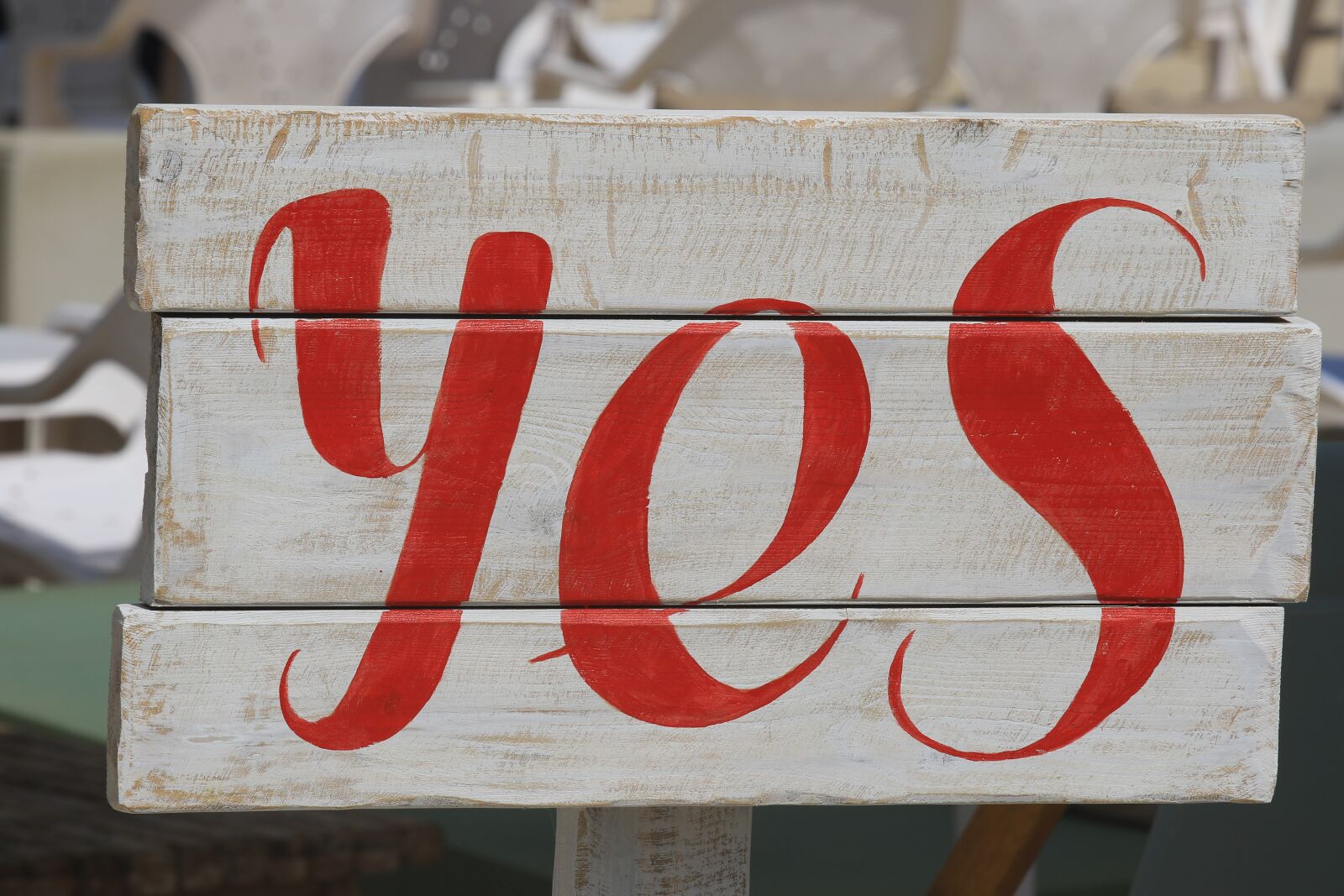 Canon EOS 7D Mark II sample photo. Yes, sign, positive photography