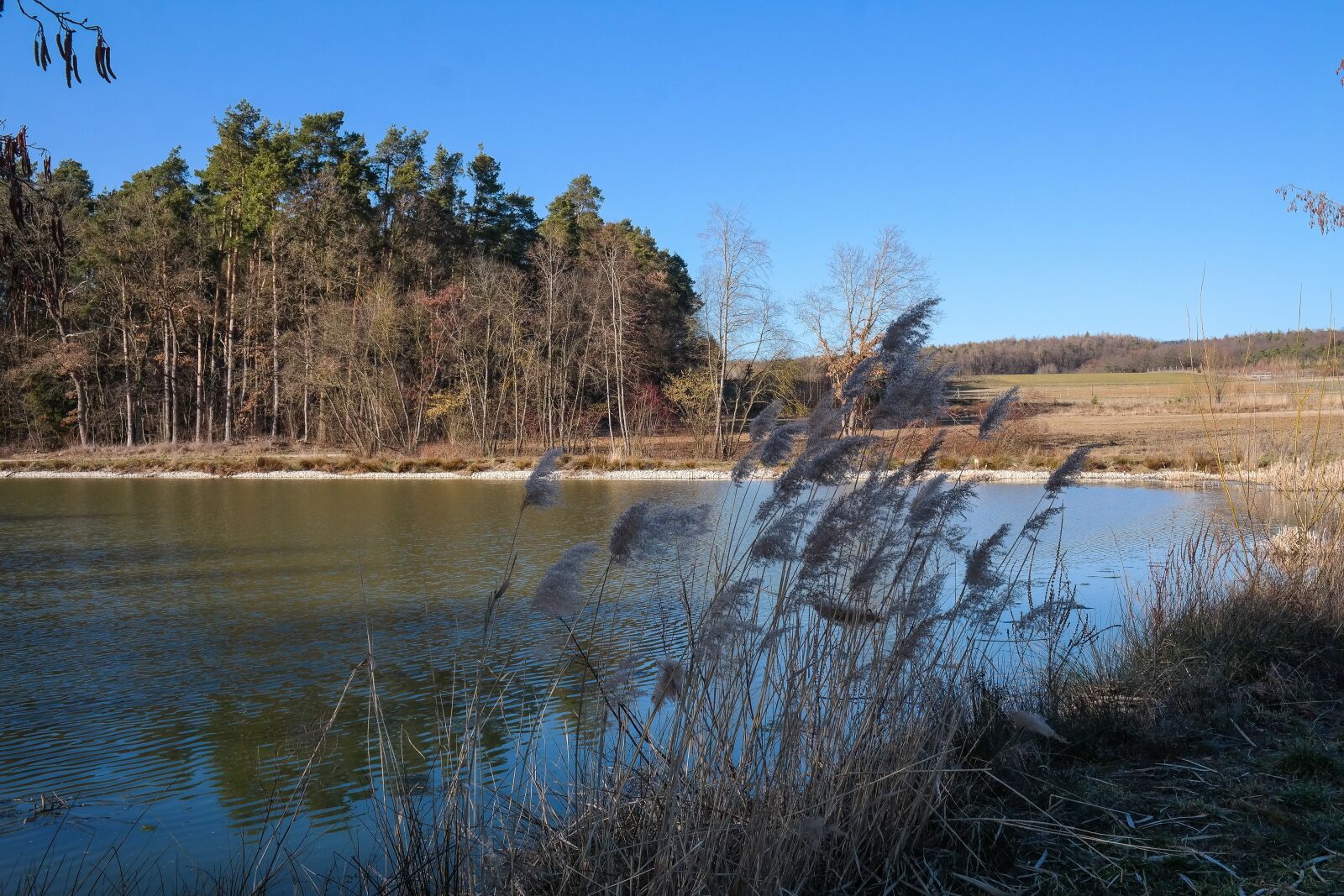 Samsung NX300 sample photo. Pond, trees, water photography