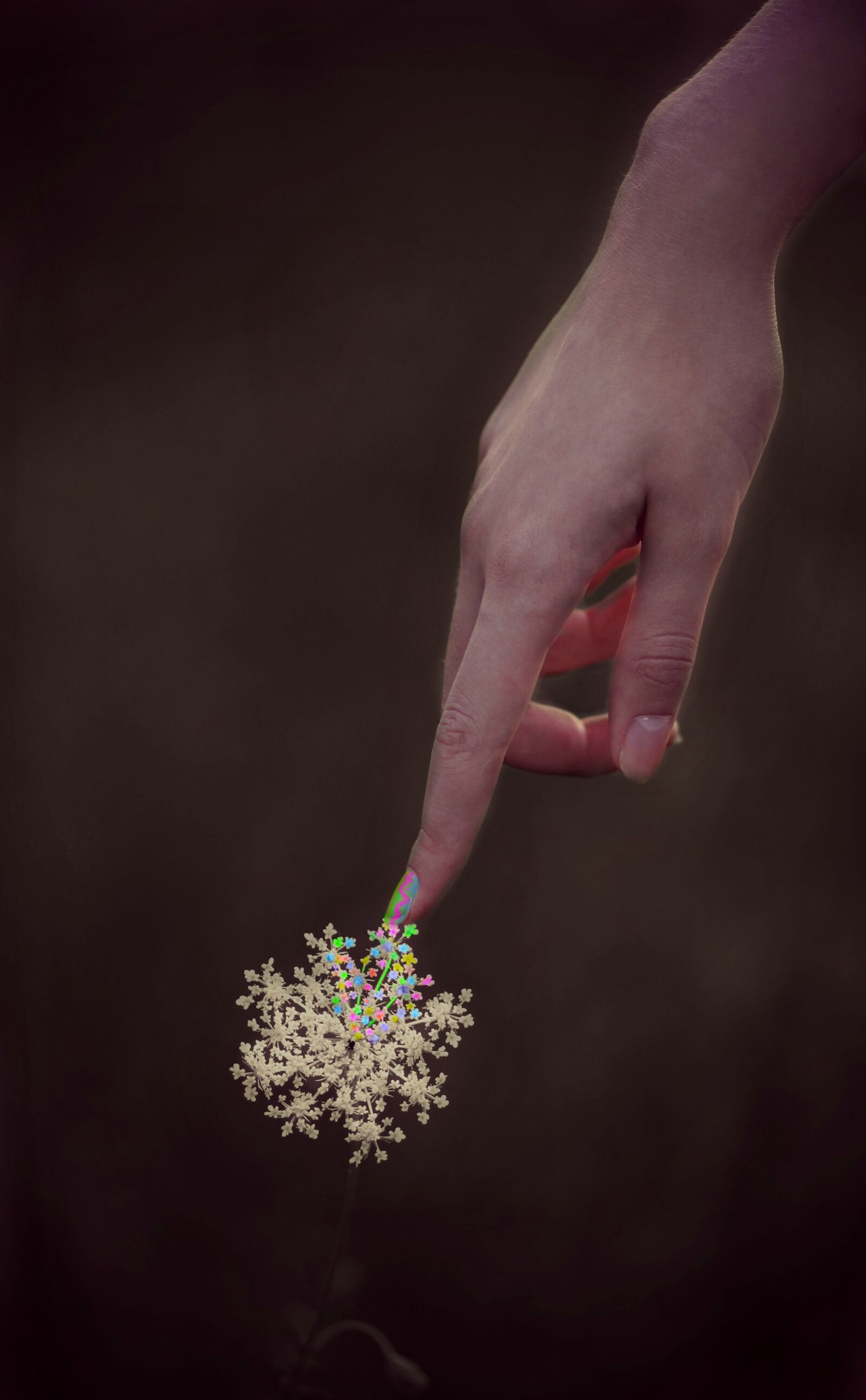 Canon EOS 700D (EOS Rebel T5i / EOS Kiss X7i) + Canon EF 85mm F1.8 USM sample photo. Flower, hand, coloring photography