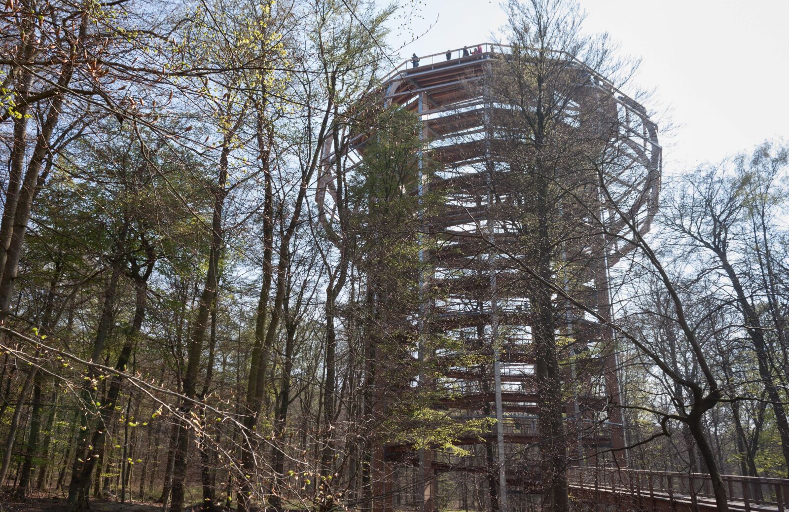 Canon EOS 500D (EOS Rebel T1i / EOS Kiss X3) sample photo. Treetop path, platform, tree photography