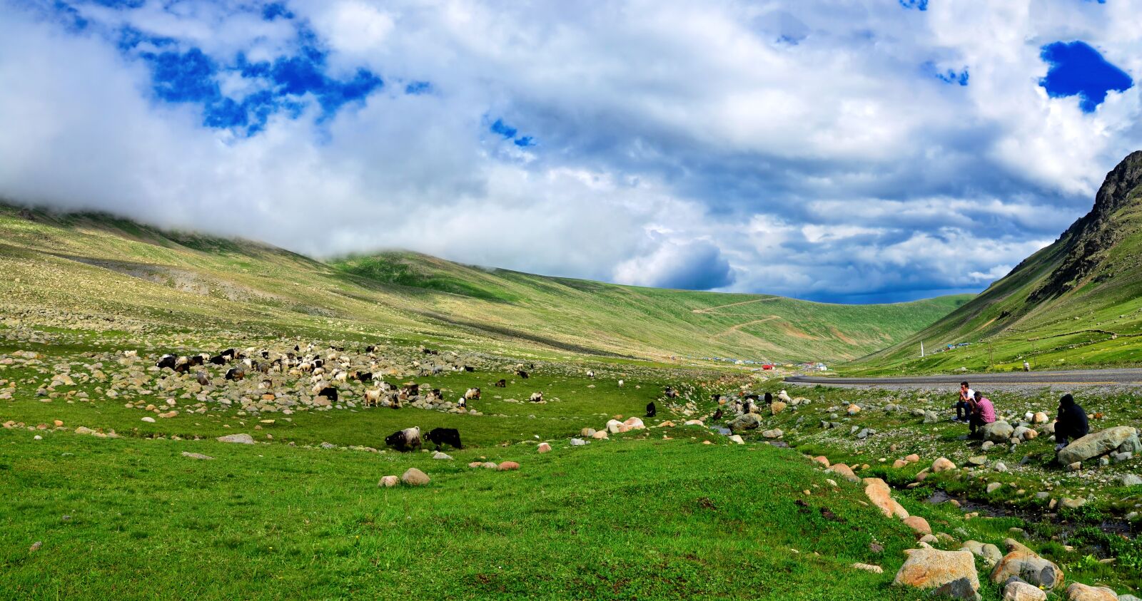 Nikon D5100 sample photo. Eastern black sea, plateaus photography