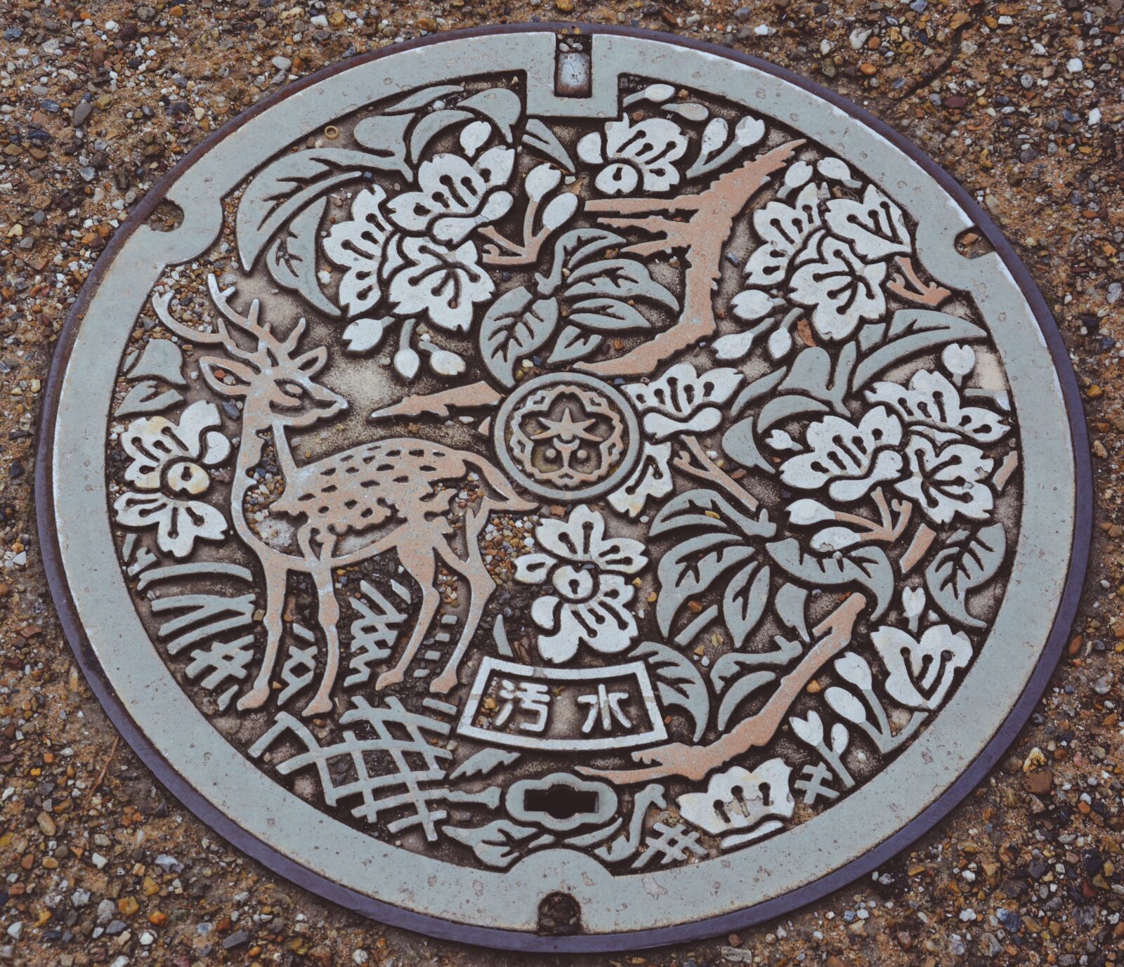 Nikon D5200 sample photo. Manhole, cover, lid photography