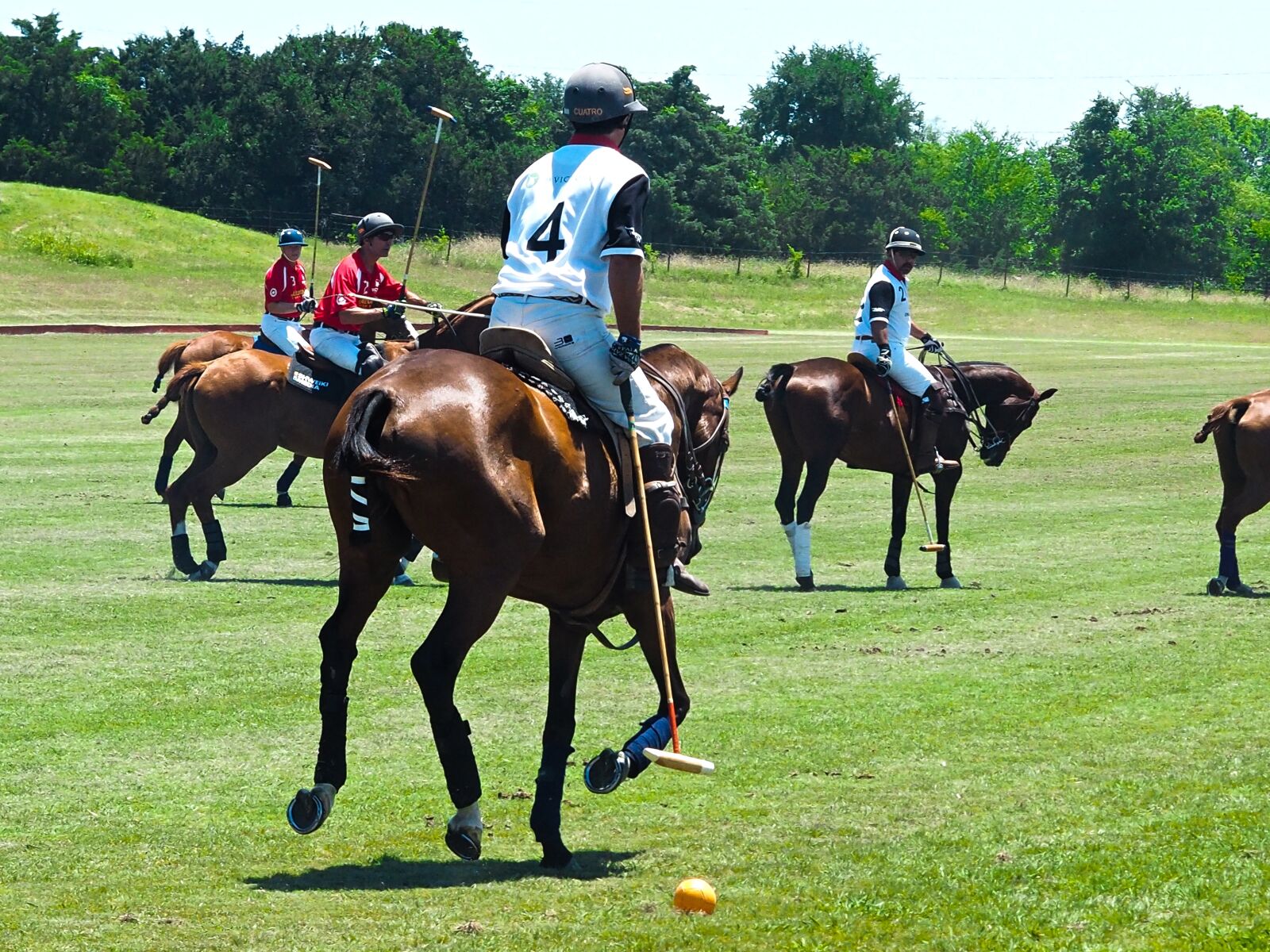 Olympus OM-D E-M5 II + Olympus M.Zuiko Digital 45mm F1.8 sample photo. Derby, austin, polo photography