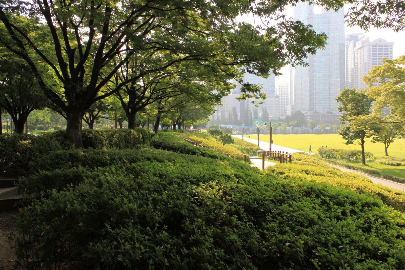Canon EOS 50D sample photo. Park, break, walk photography