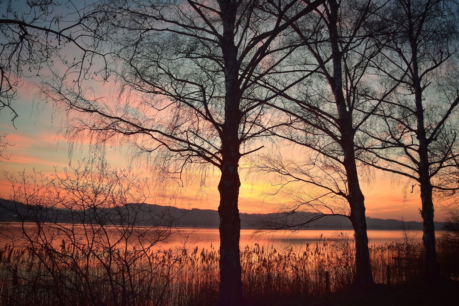 Nikon D7200 sample photo. Sunset, mood, landscape photography