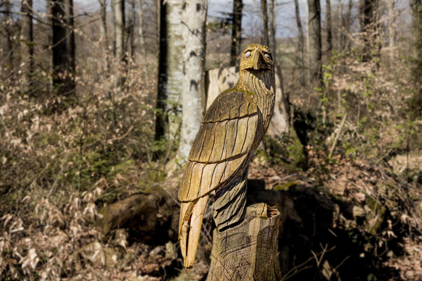 Canon EOS R sample photo. Wood, carving, figure photography