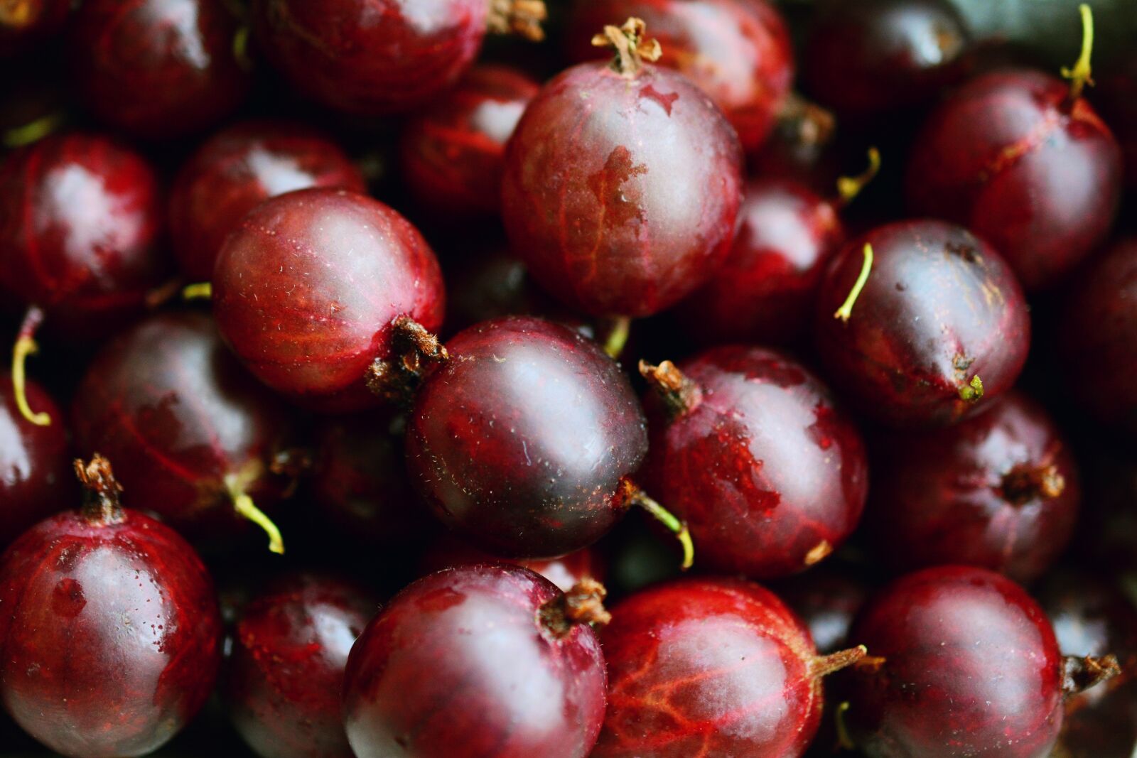 Nikon D5200 sample photo. Gooseberries, red gooseberries, fruits photography