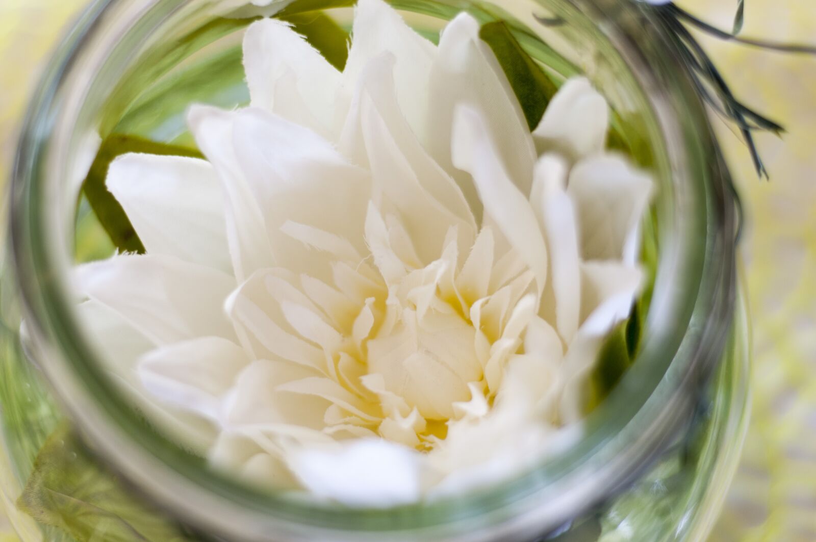 Nikon D300 sample photo. Flower, blossom, bloom photography