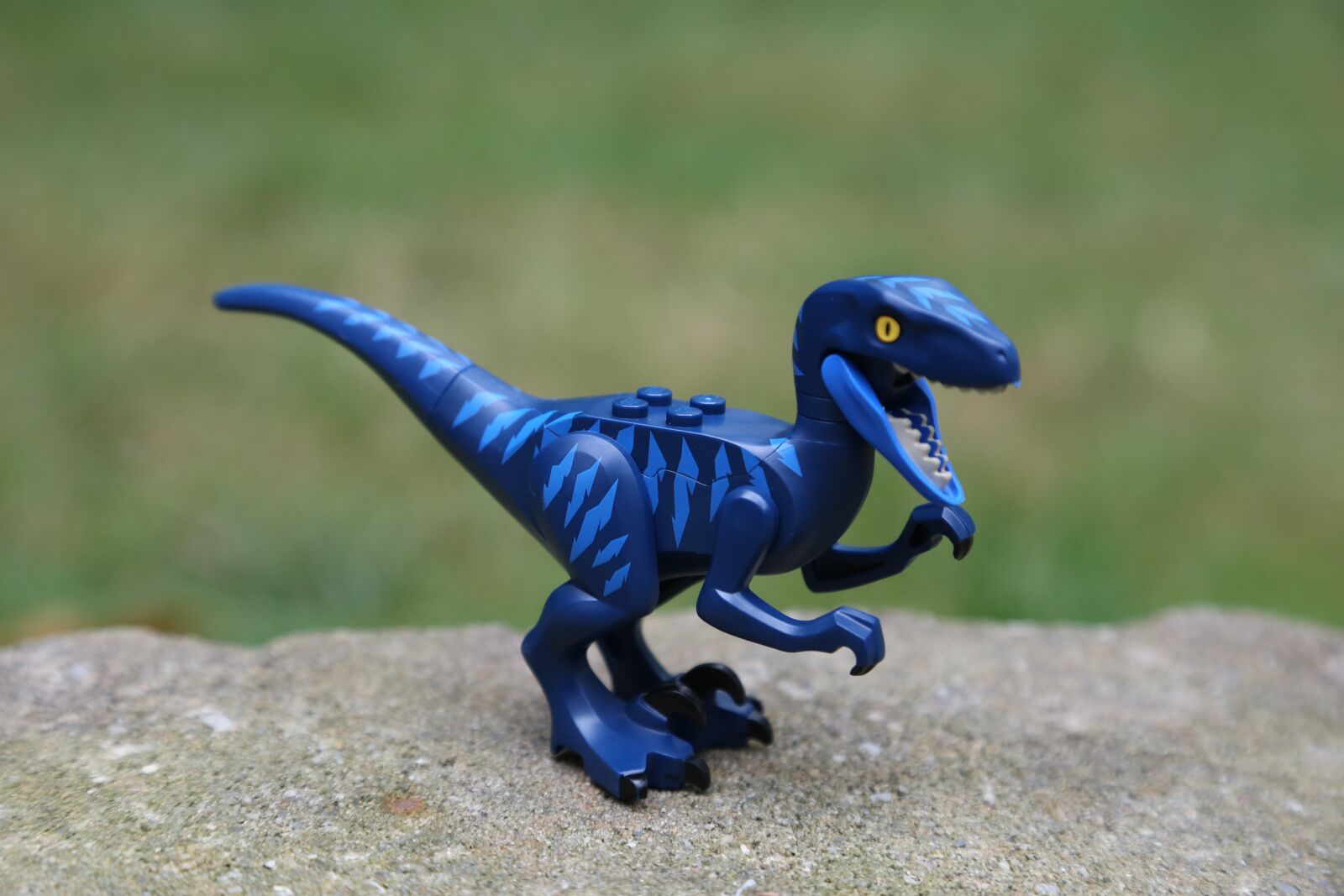 Canon EOS 6D + Canon EF 24-105mm F4L IS USM sample photo. Dinosaur, toy, dino photography