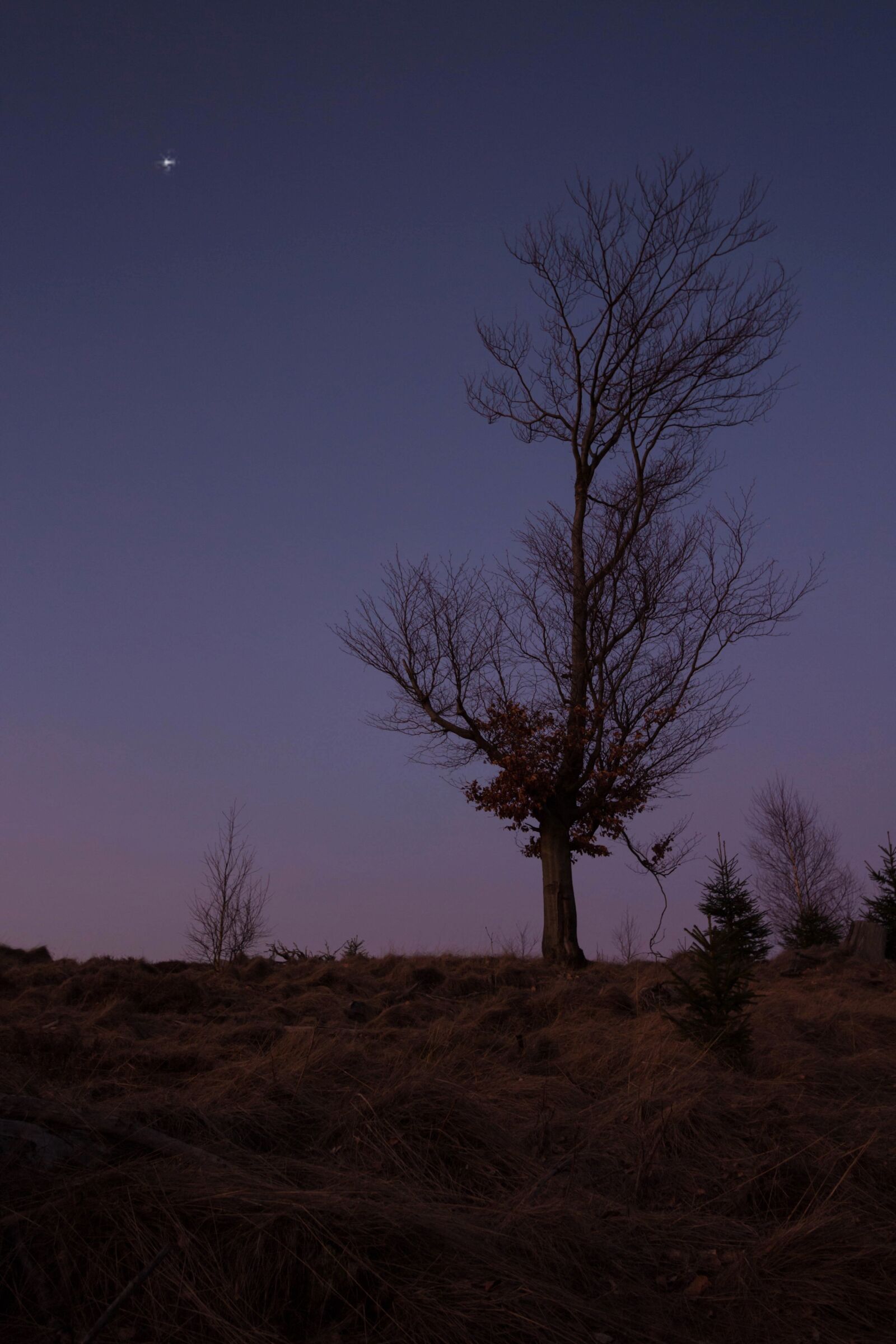 Canon EF-S 10-22mm F3.5-4.5 USM sample photo. Dusk, evening sky, romance photography