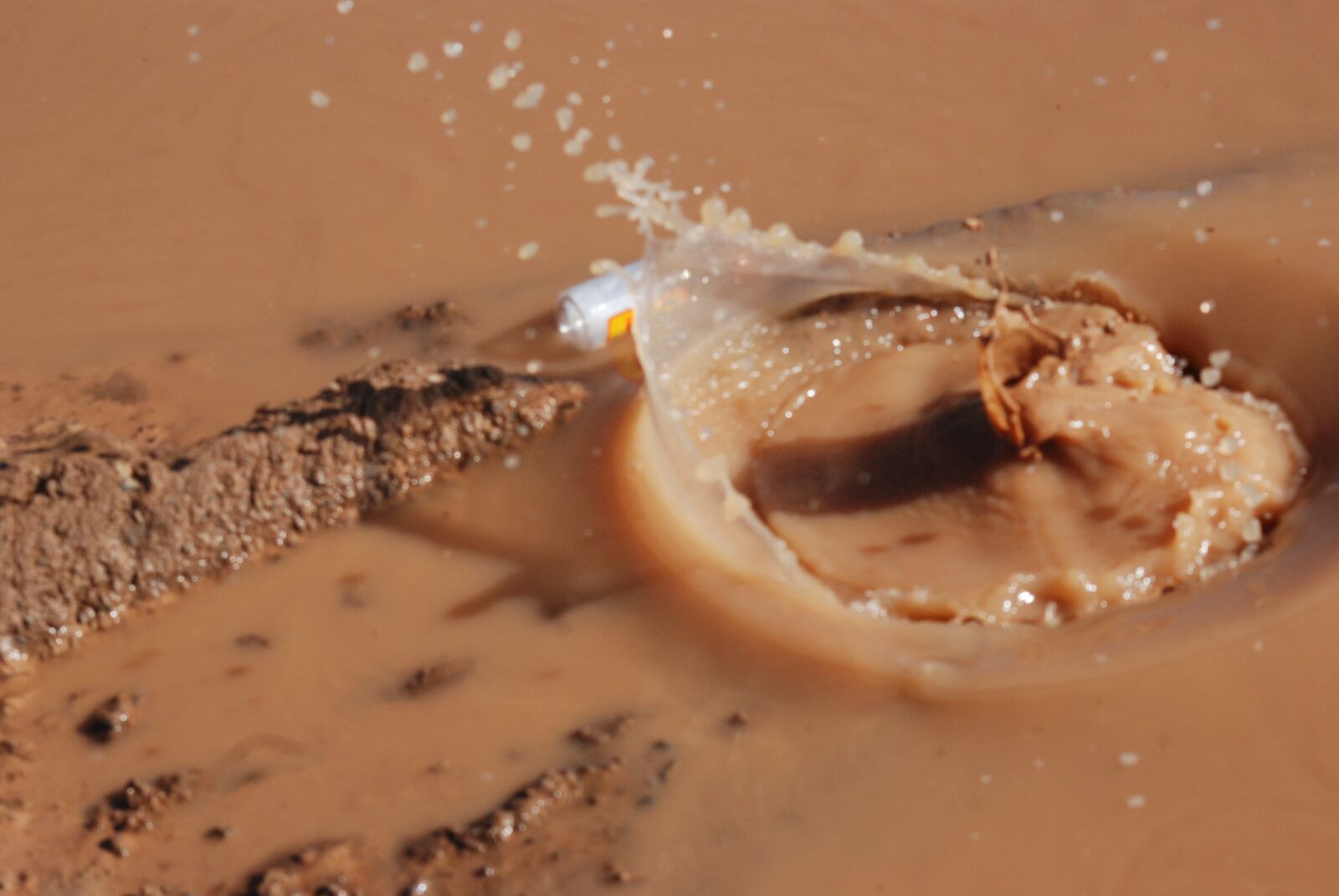 Nikon D80 sample photo. Splash, water, puddle photography