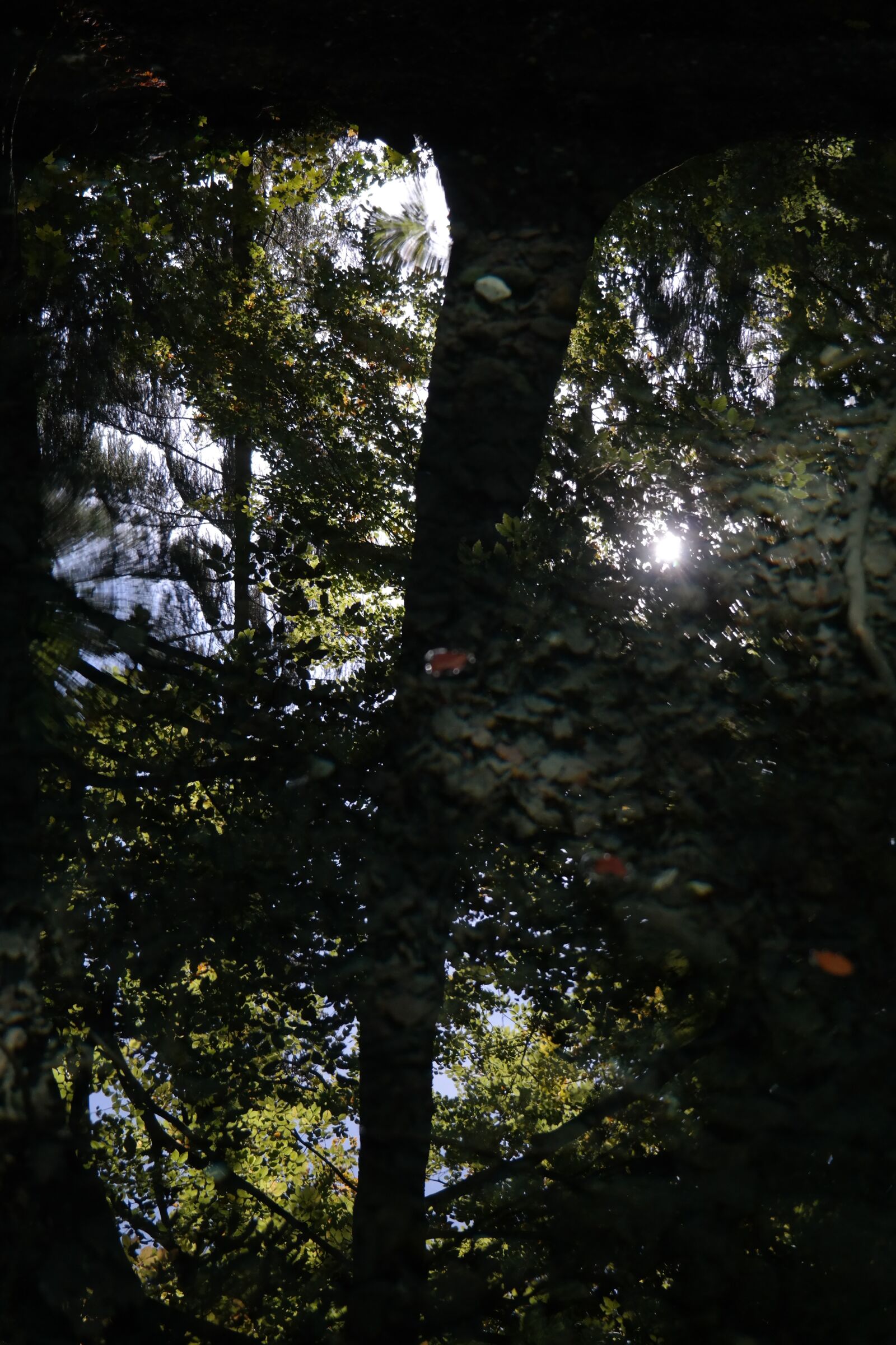 Samsung NX300 sample photo. Water surface, mirroring, water photography