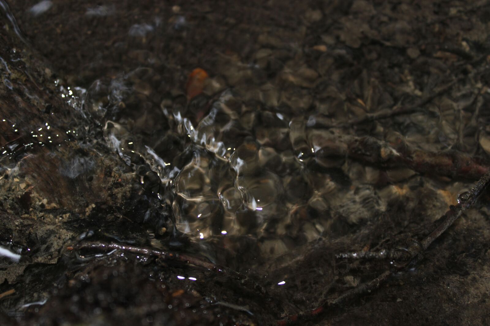 Canon EOS 600D (Rebel EOS T3i / EOS Kiss X5) sample photo. Forest, water, river photography