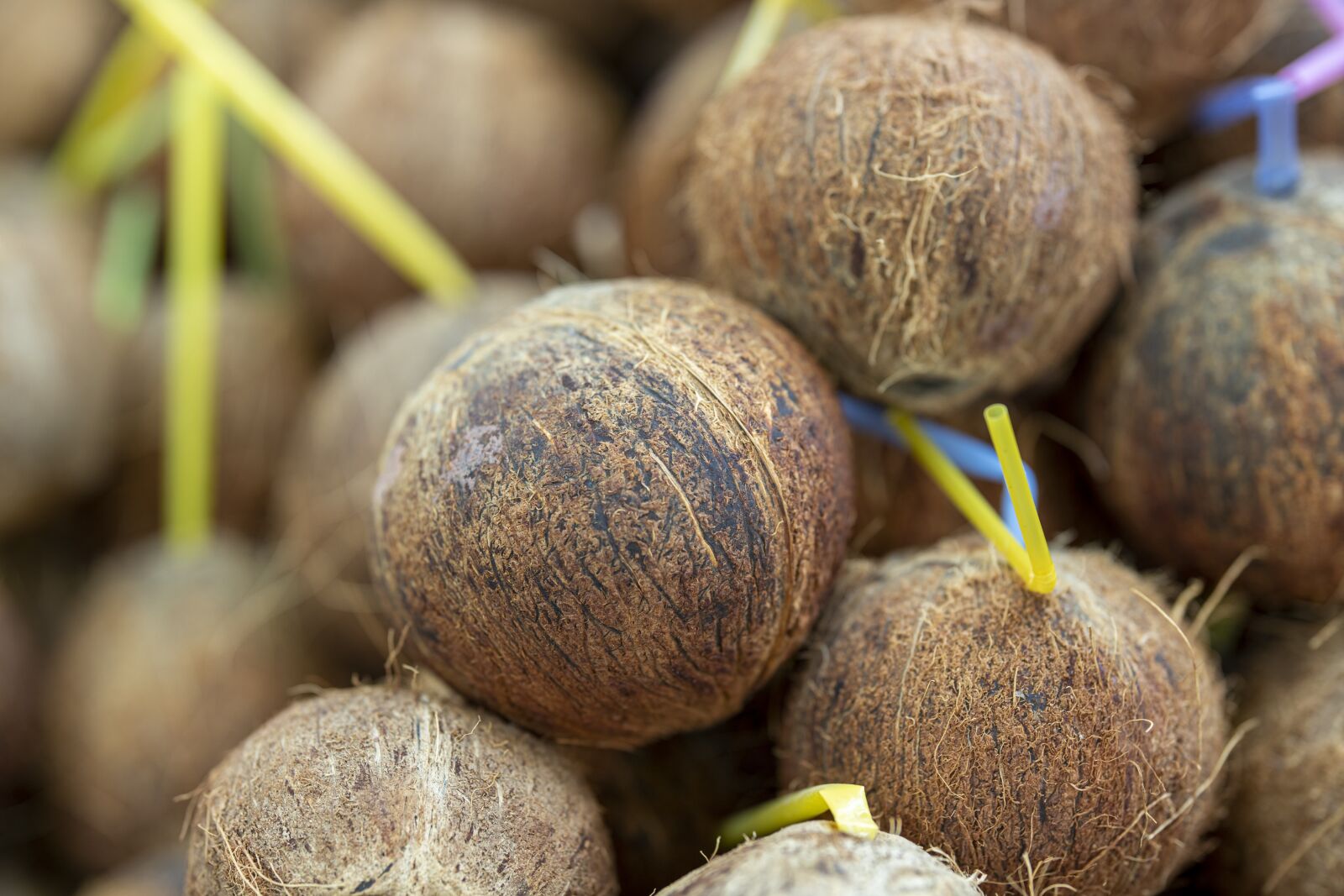 Canon RF 85mm F1.2L USM sample photo. India coconut, fruit, beverage photography