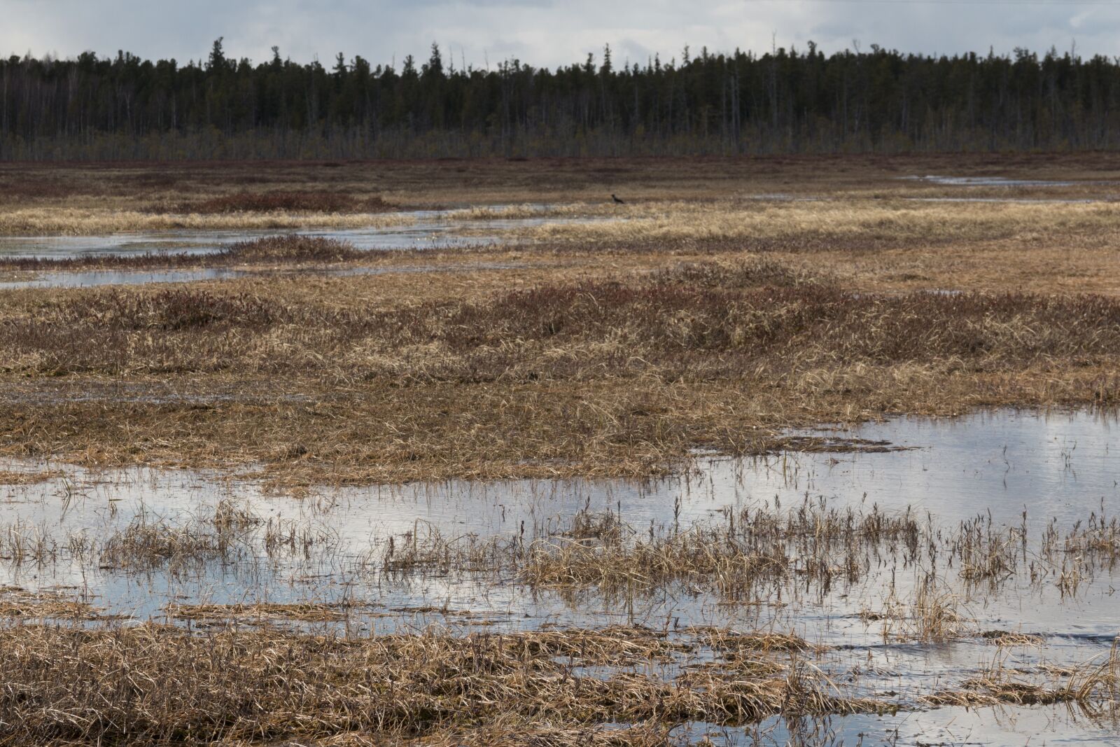 Canon EOS 70D + Canon EF-S 18-135mm F3.5-5.6 IS sample photo. Fields, tundra, wetlands photography