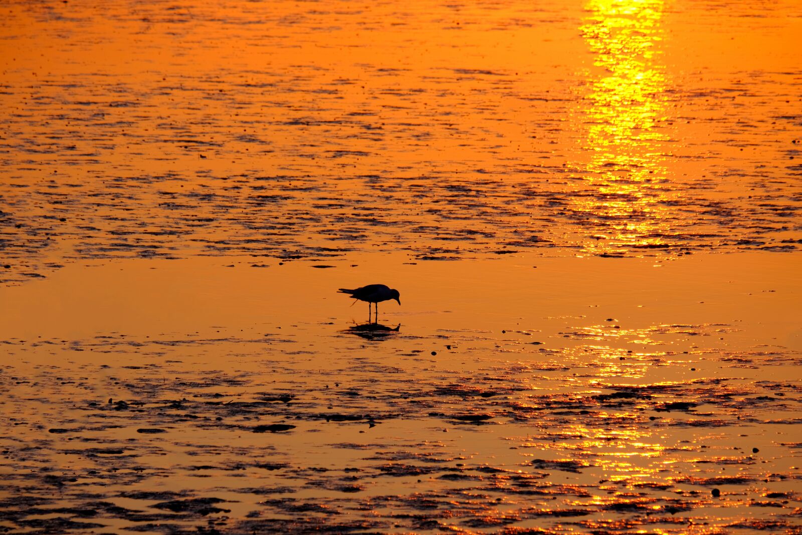 Fujifilm X-T20 sample photo. Sunset, sun, sea photography
