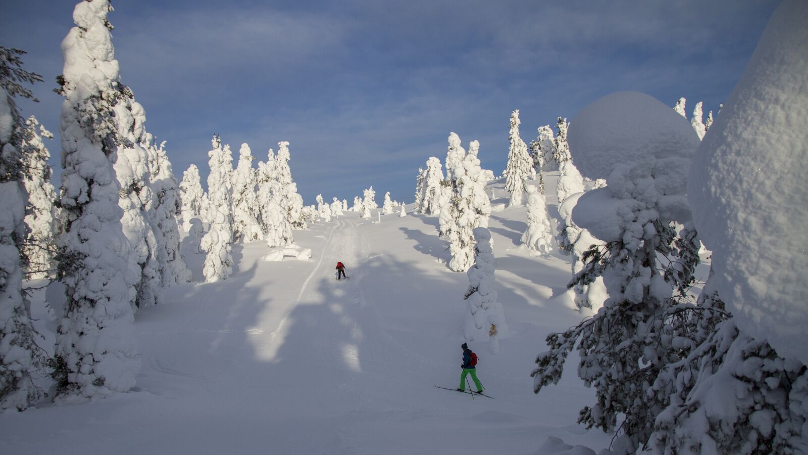 Canon EOS 7D sample photo. Cross country skiing, finland photography