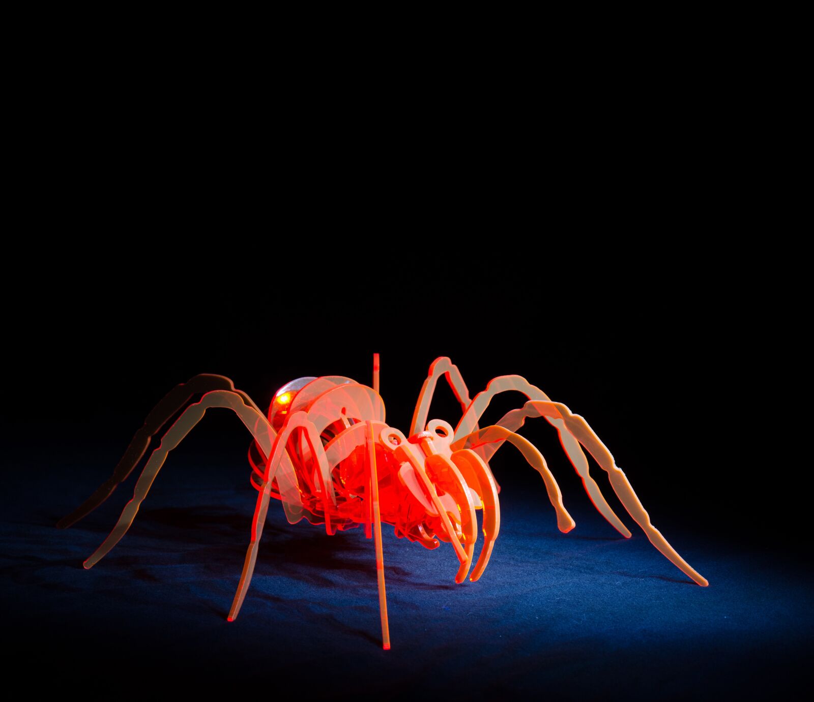 Nikon D5100 sample photo. Spider, acrylic, light painting photography