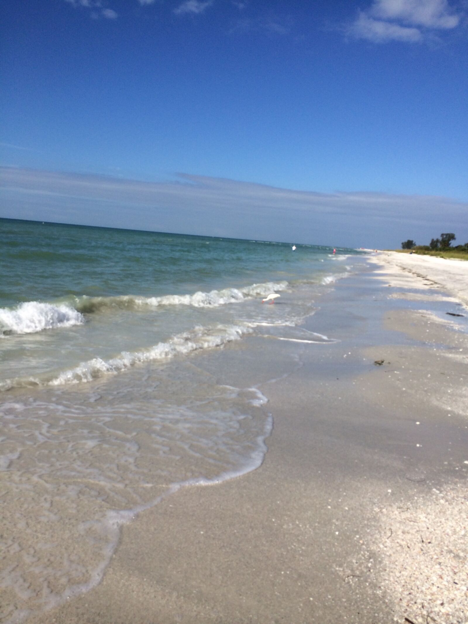 iPhone 5s back camera 4.12mm f/2.2 sample photo. Beach, florida photography
